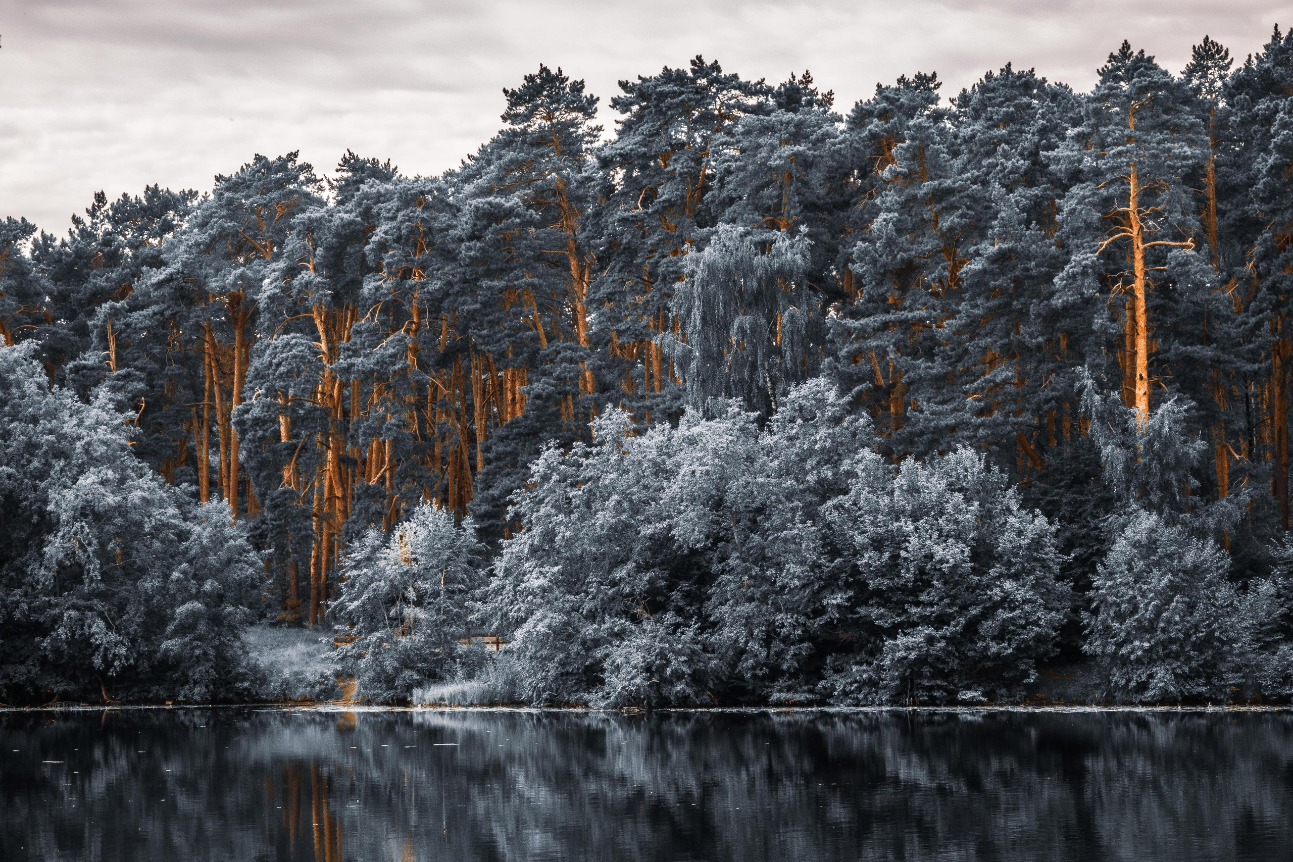 Природа и пейзаж. Фотограф в Москве Сергей Коршунов