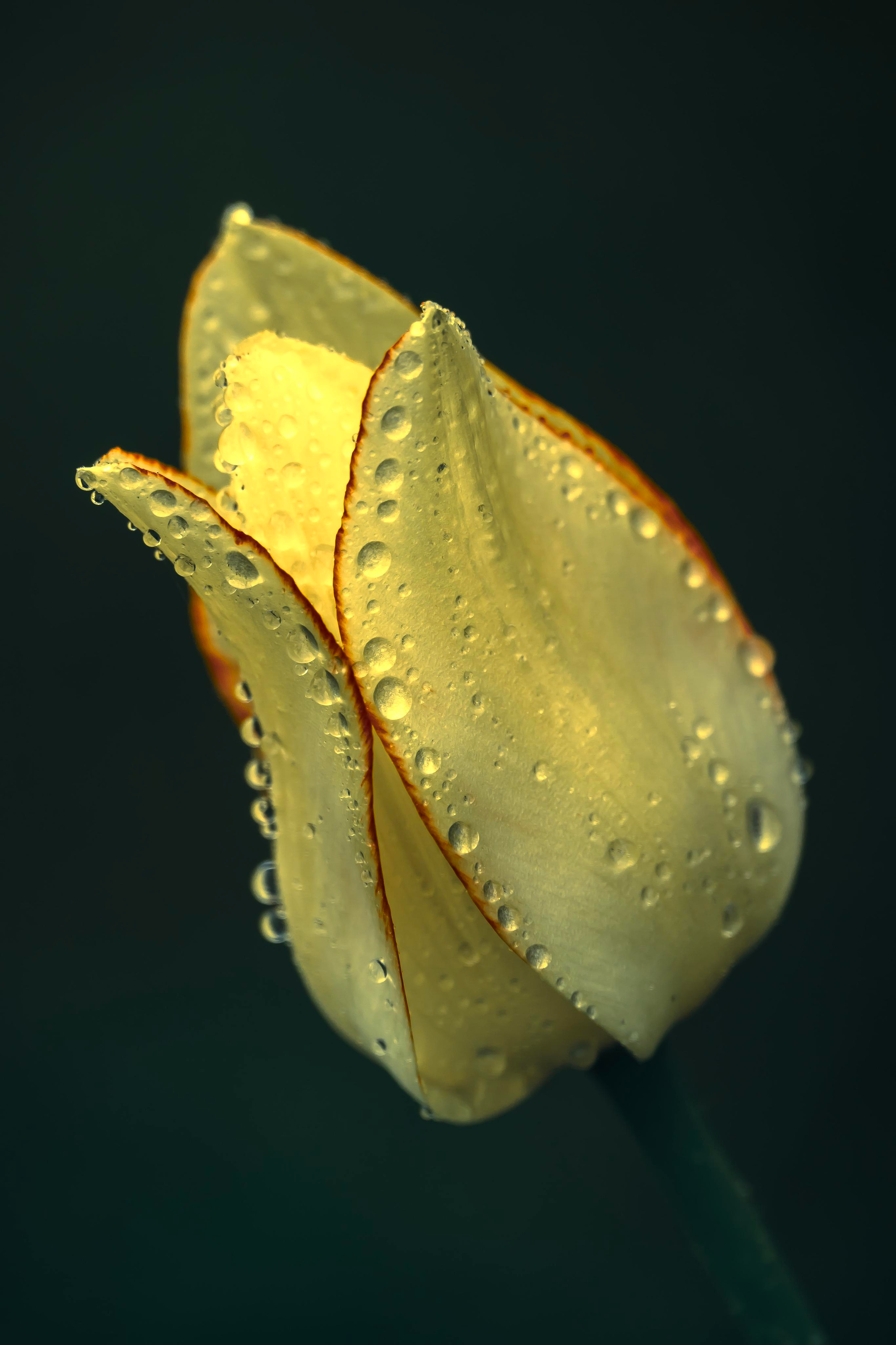 Природа и пейзаж. Фотограф в Москве Сергей Коршунов