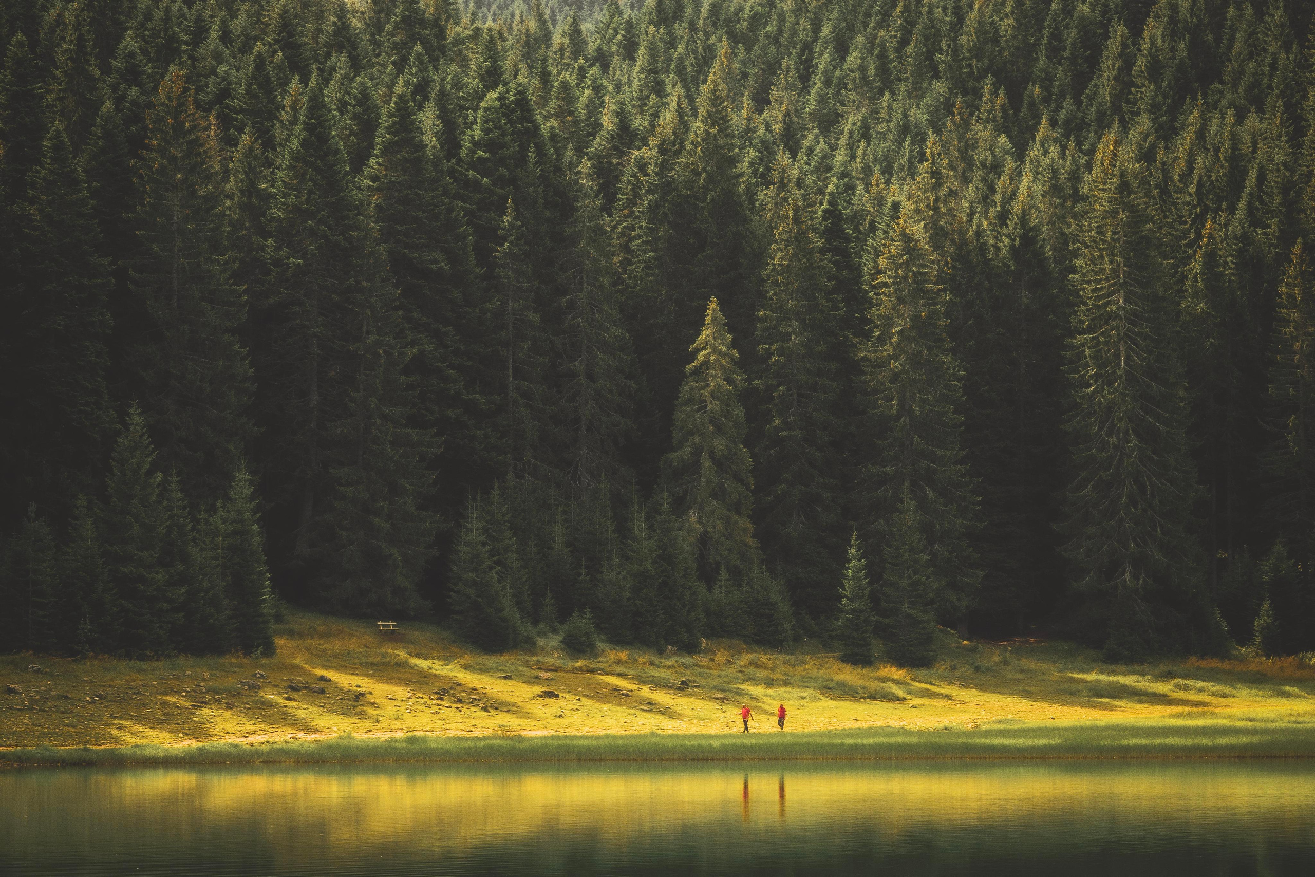 Природа и пейзаж. Фотограф в Москве Сергей Коршунов