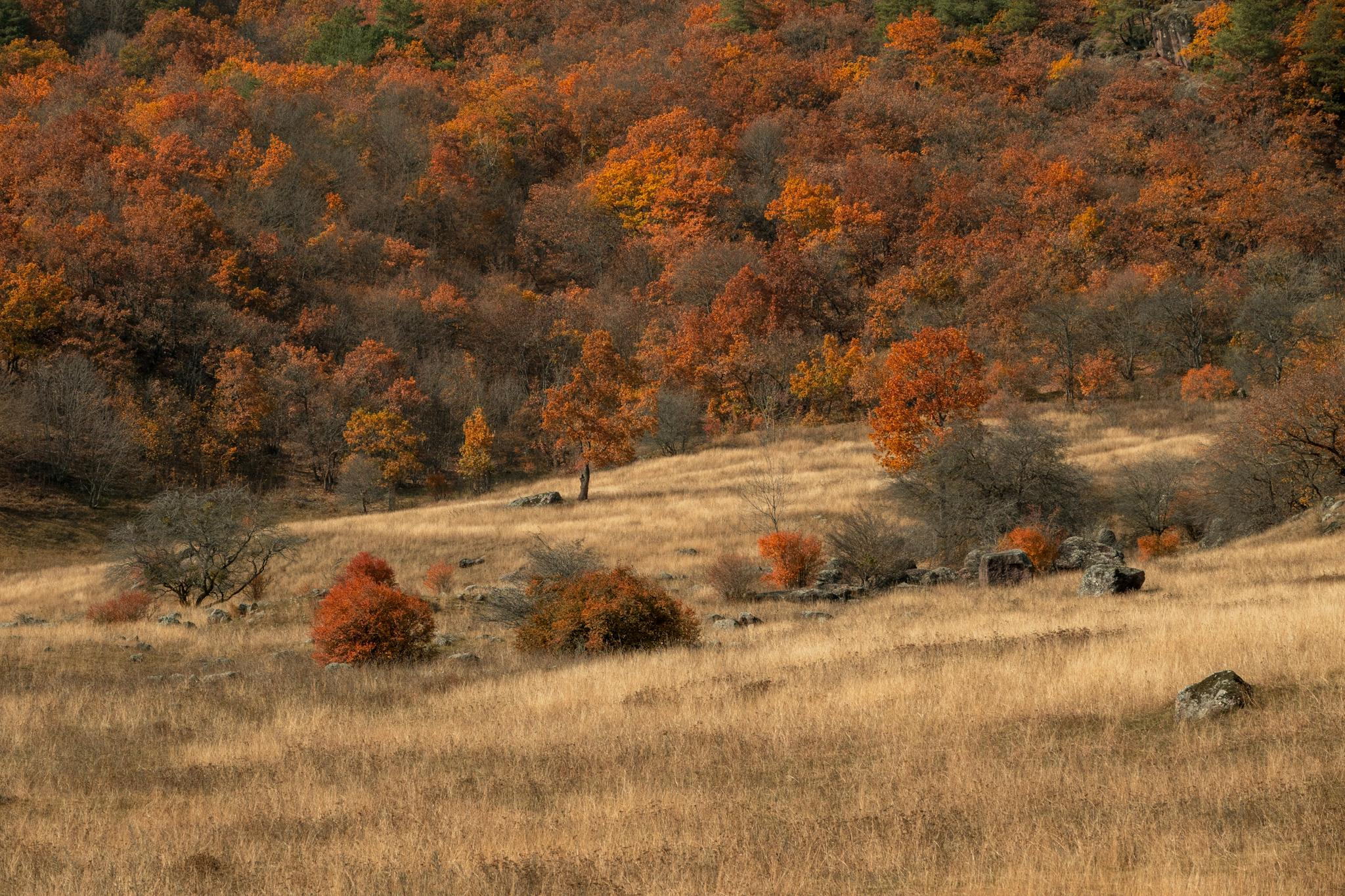 Природа и пейзаж. Фотограф в Москве Сергей Коршунов