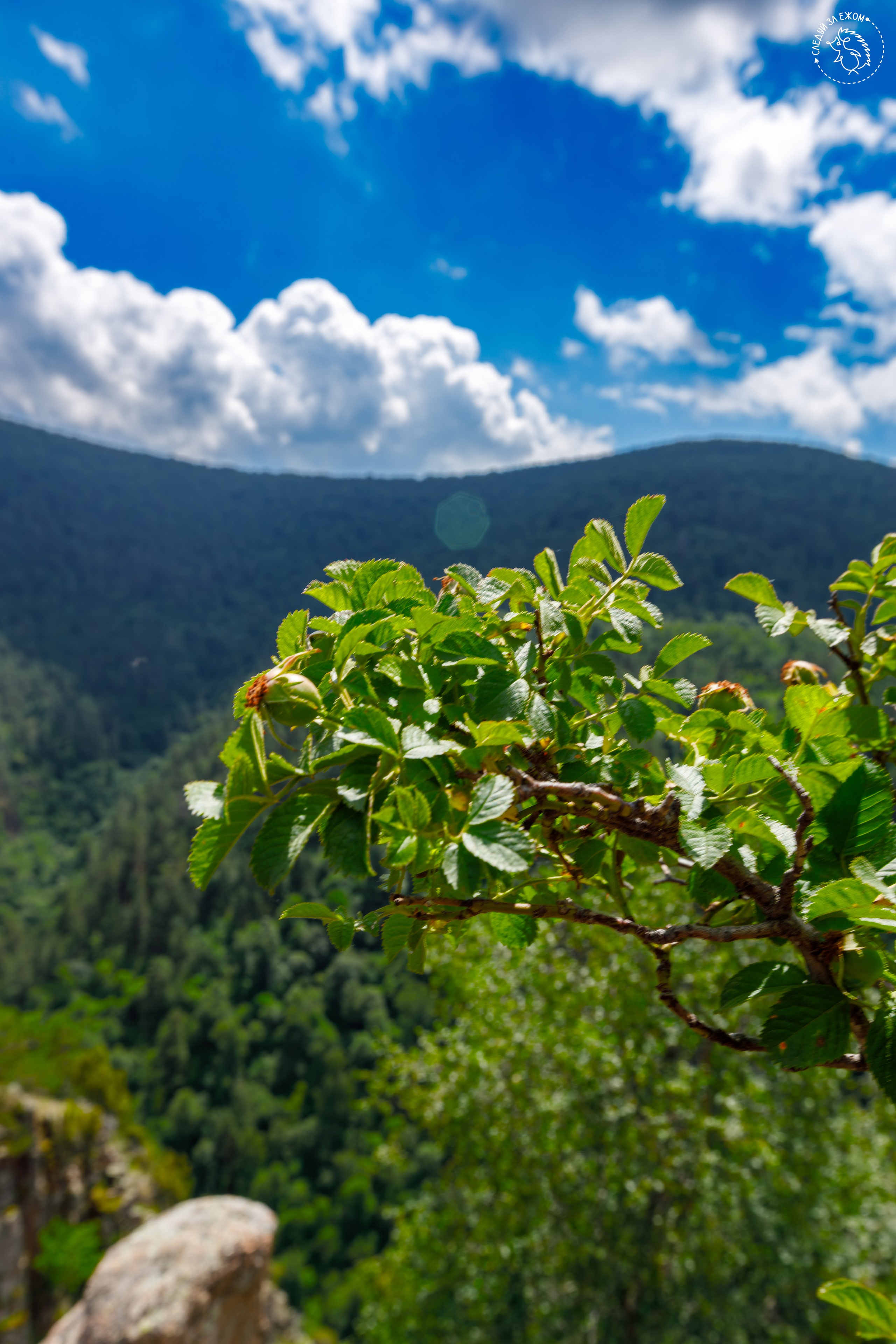 ПРЕКЛЮЧЕНИЯ. Дудченко Сергей фотограф и видеограф Краснодар