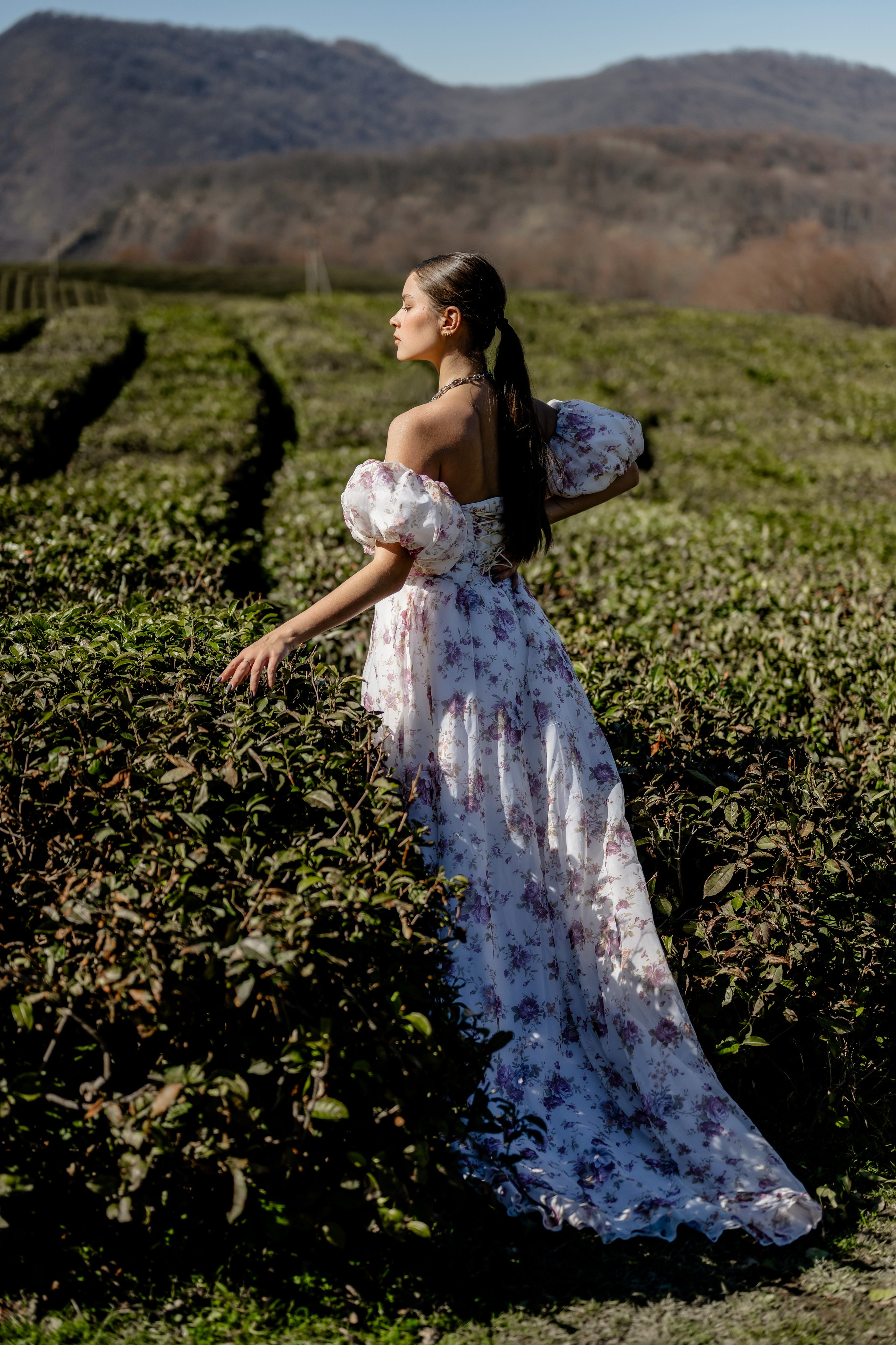 Люда чайные. Наталья Слесаренко фотограф в Сочи