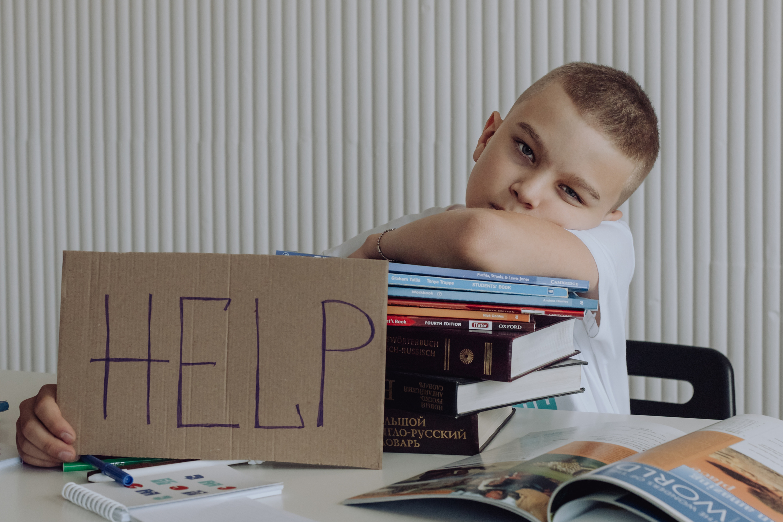 Языковая школа. Семейный и детский фотограф в Екатеринбурге Светлана Гостюхина