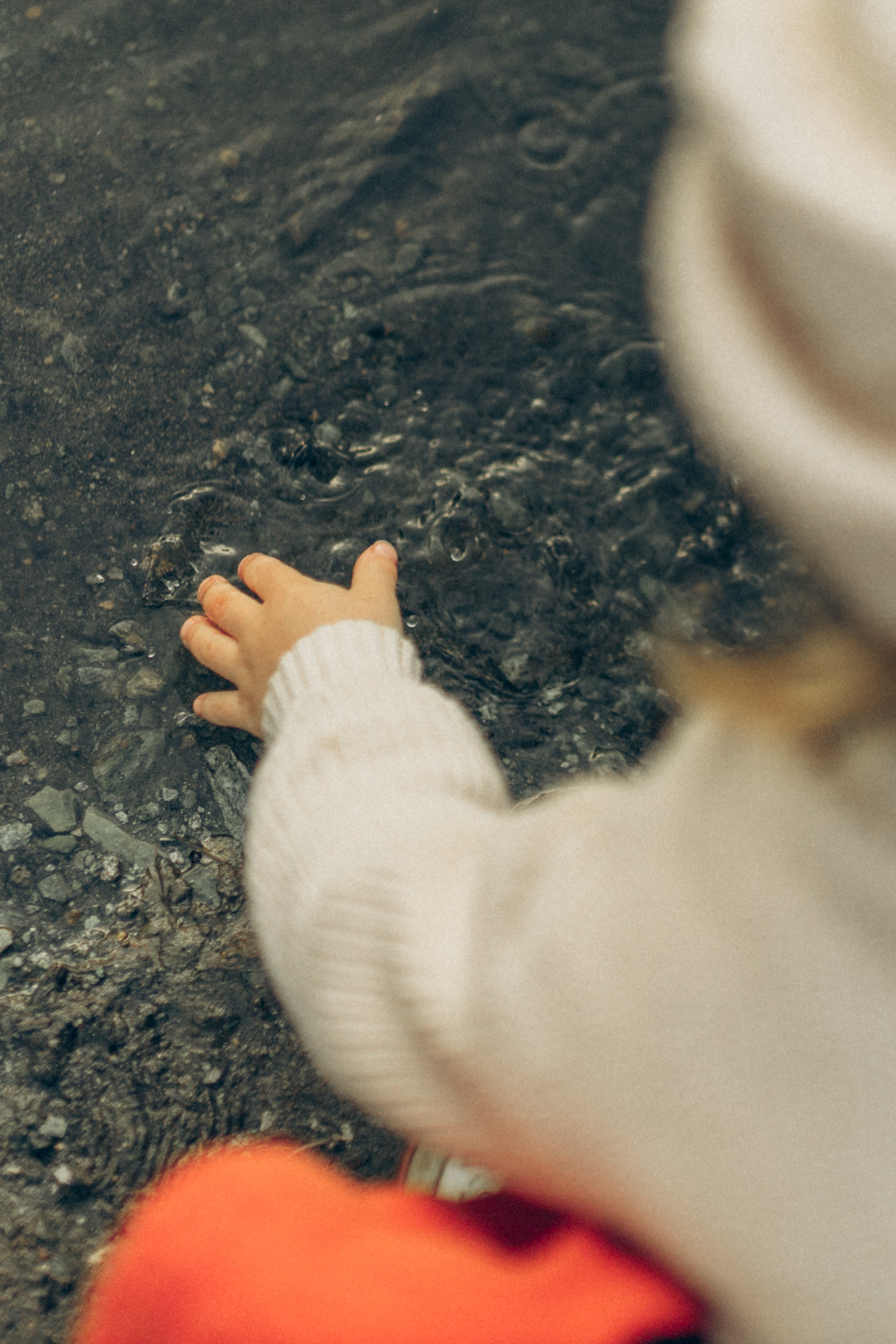 Осенняя прогулка. Семейный и детский фотограф в Екатеринбурге Светлана Гостюхина