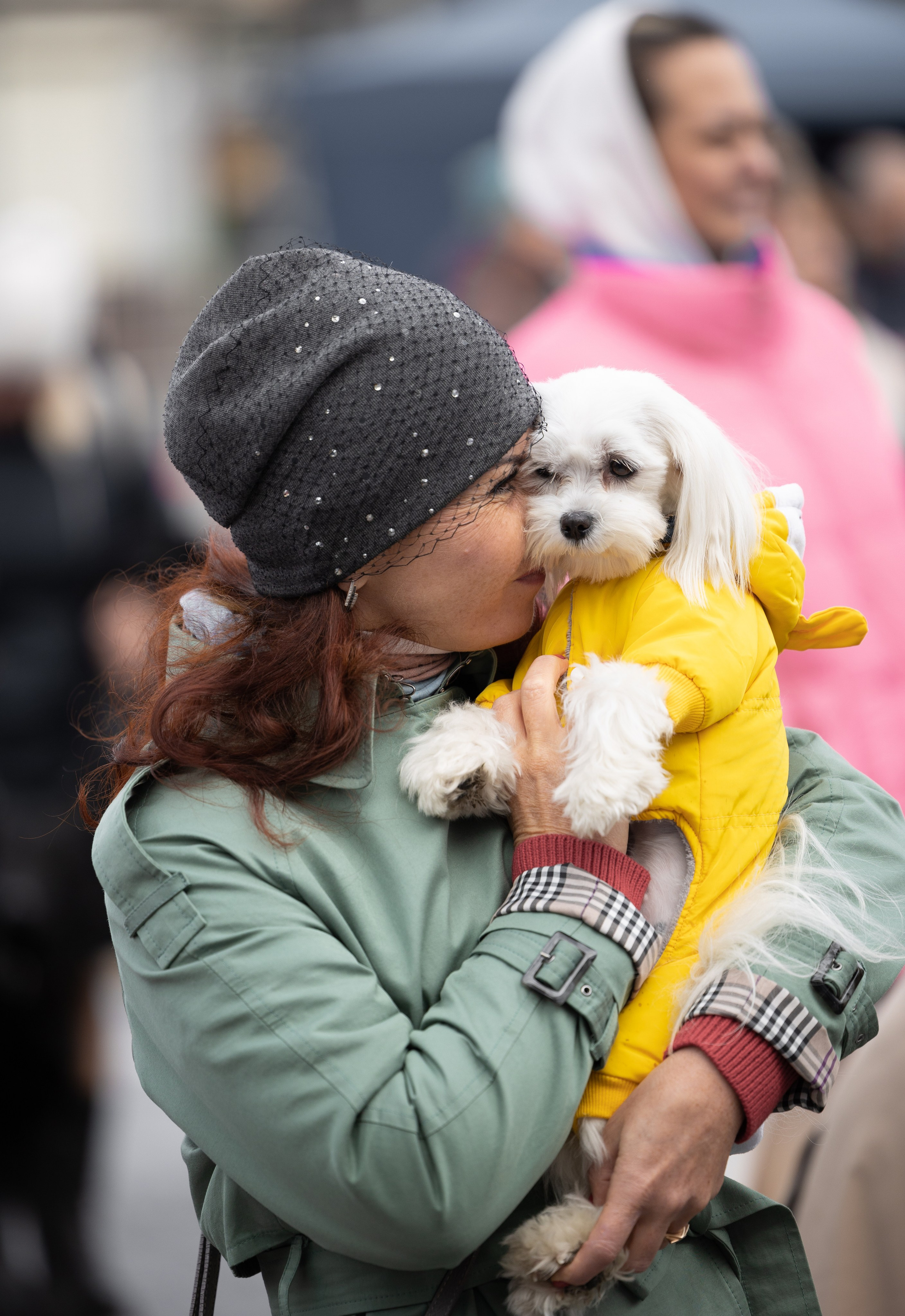 Кросс «Быстрый пёс», Балтийская Жемчужина. Главная