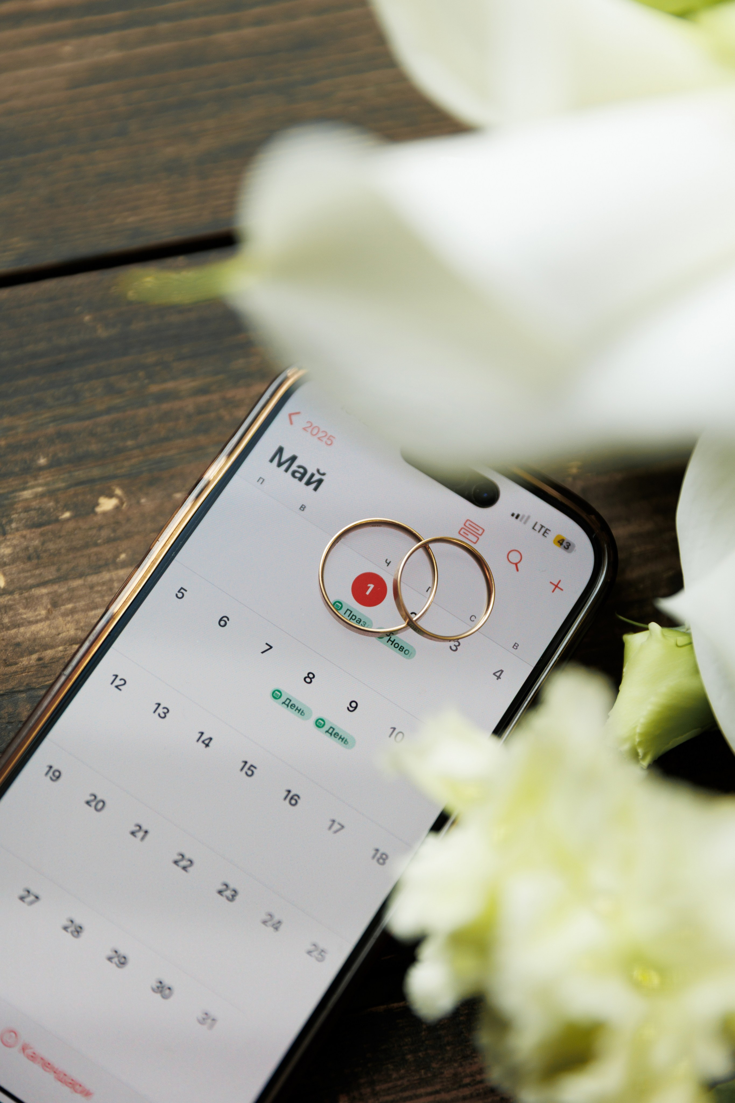 Алина&Павел. Свадебный фотограф в Ростове-на-Дону Базарова Анастасия