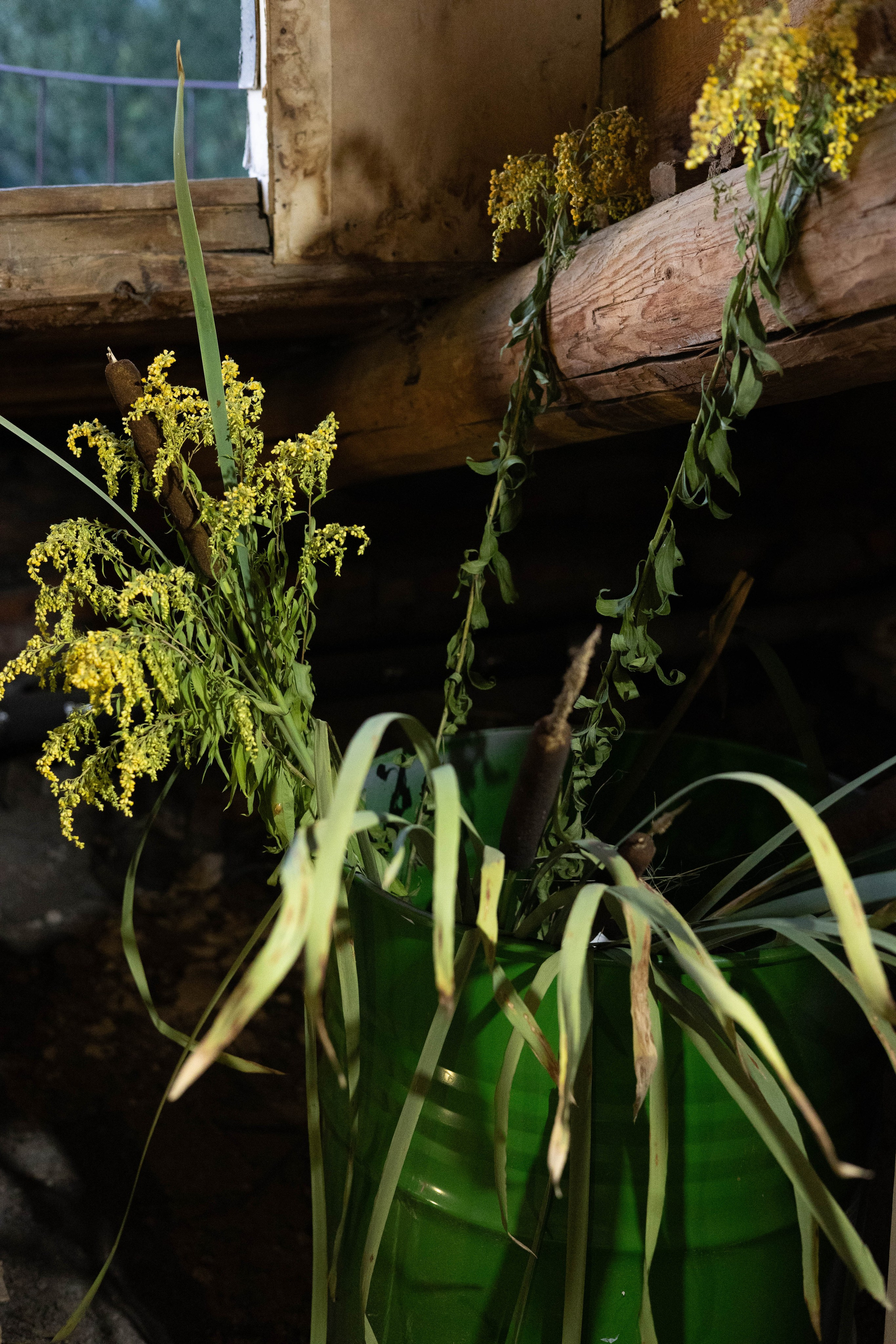 Выставка «Цветочек». Фотограф Шурыгина Эльвира Москва