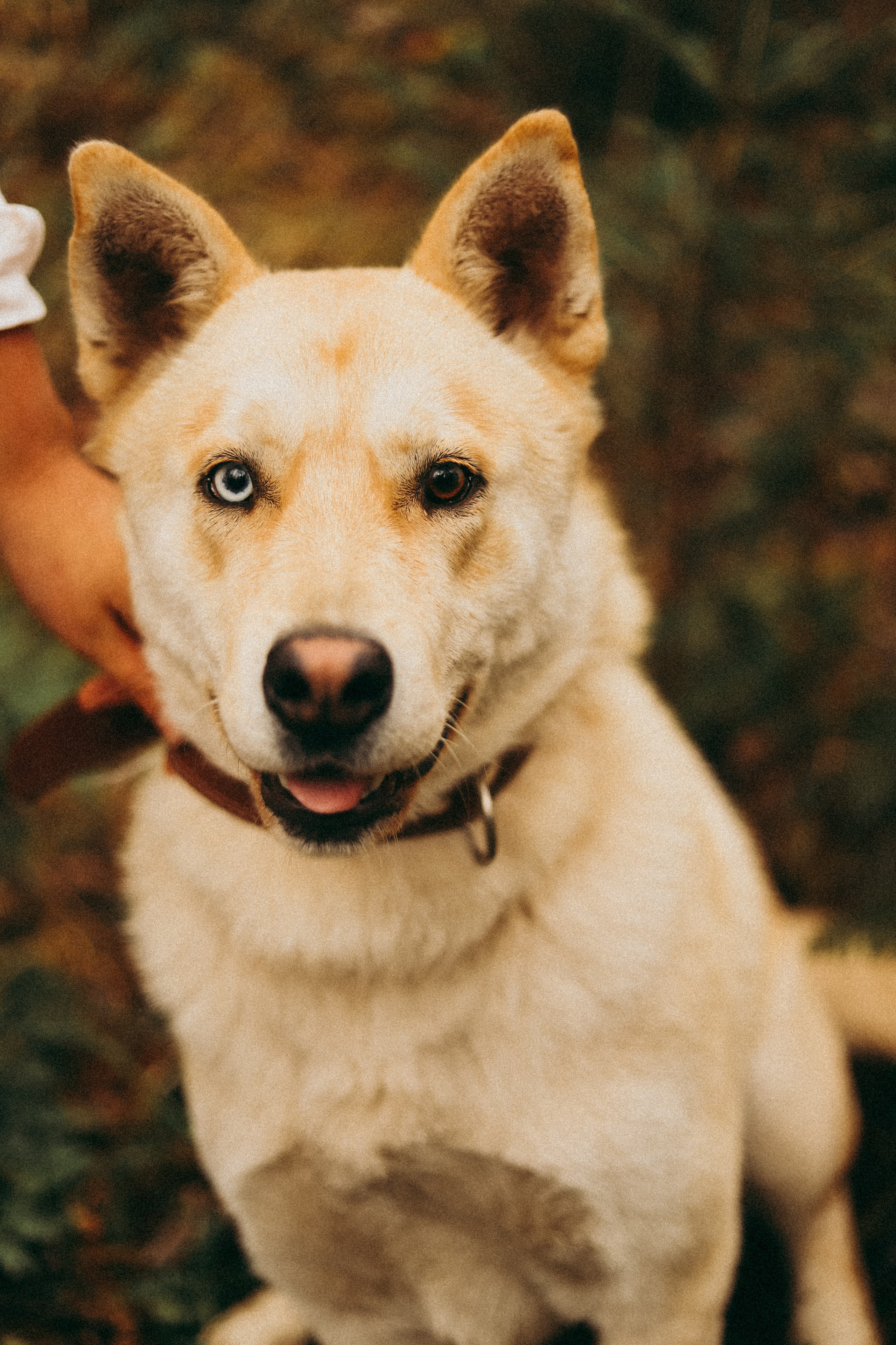 Анастасия, Кирилл и Мел, Мира и Марта. Фотограф Москва и Санкт-Петербург