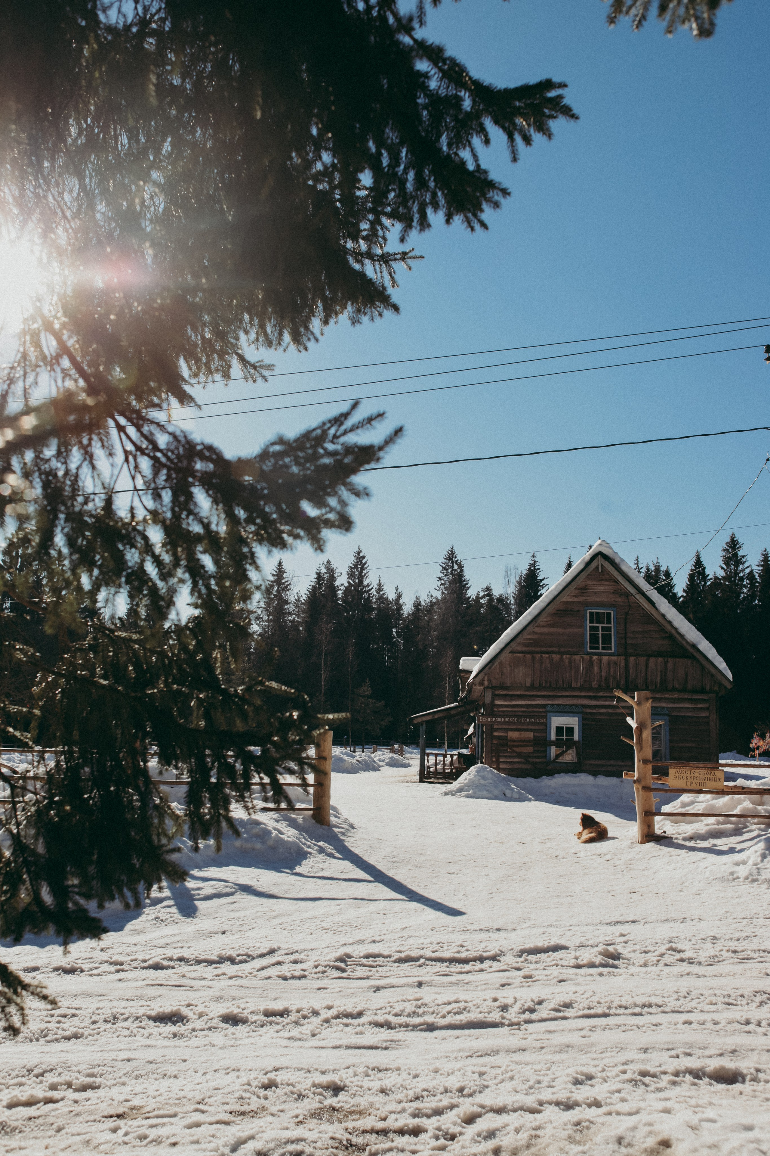 Ферма. Фотограф Москва и Санкт-Петербург