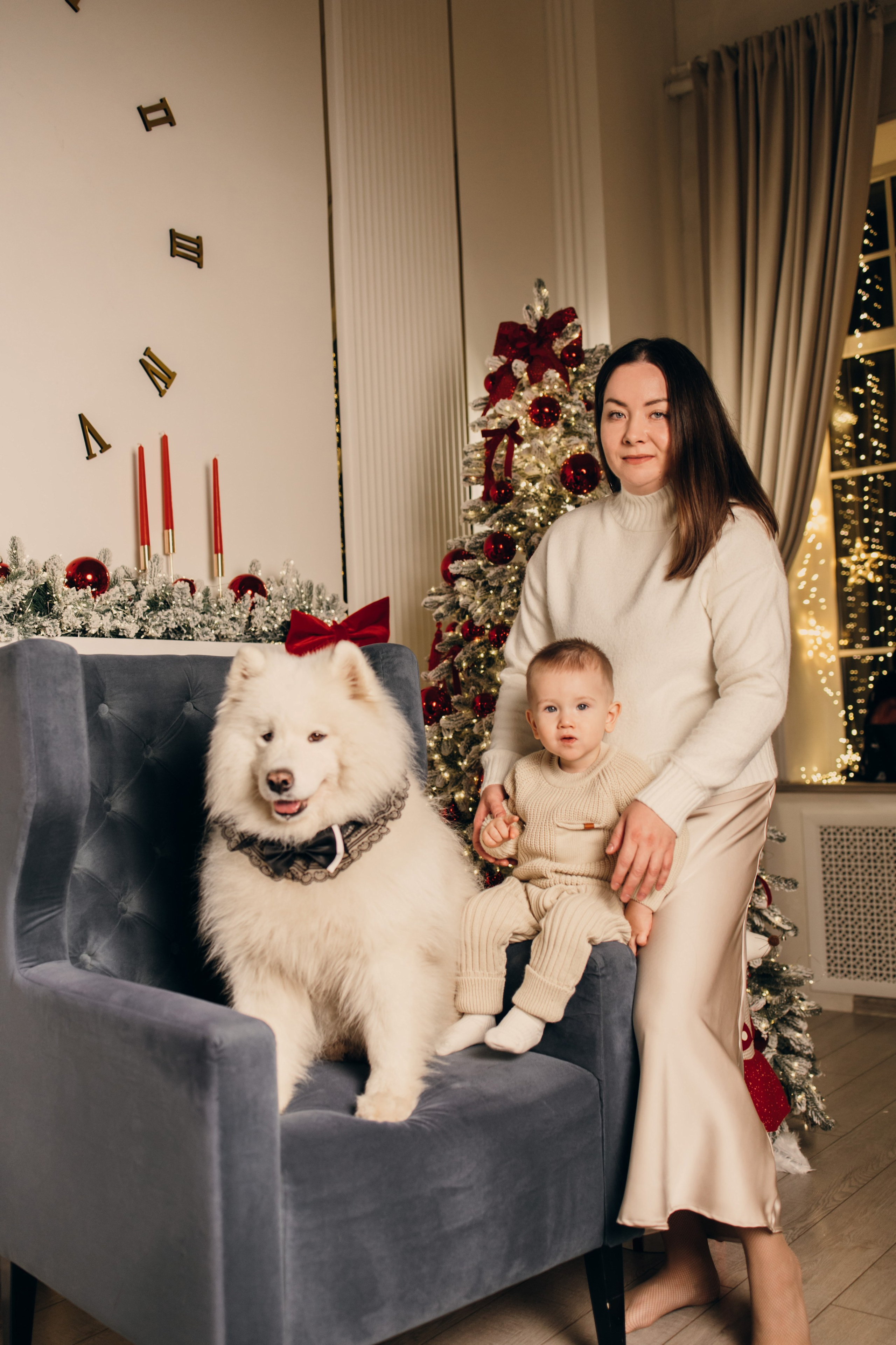 Новогодний самоед. Коновалова Ольга | фотограф в Пензе и Заречном