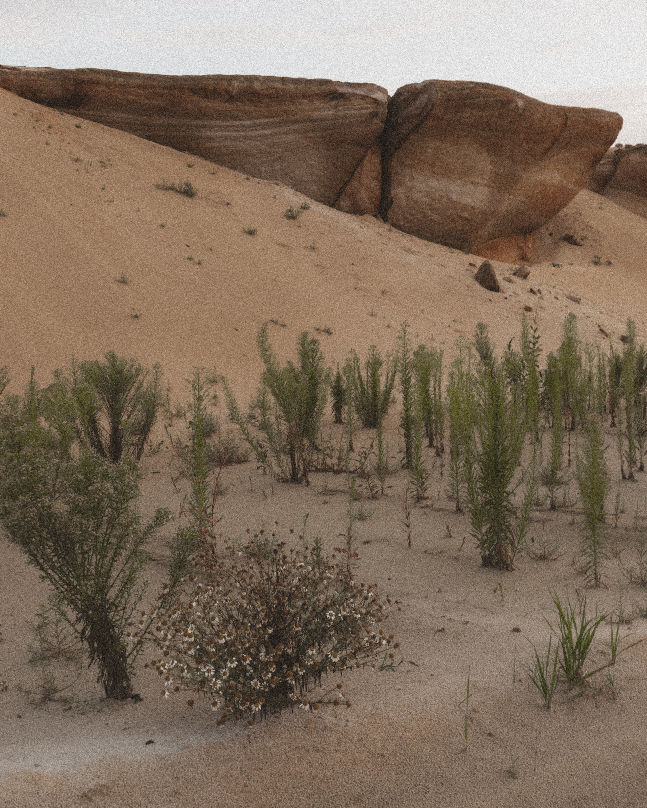 Творческая съемка Inci Ask. Анастасия Шумских [креативный продюсер]