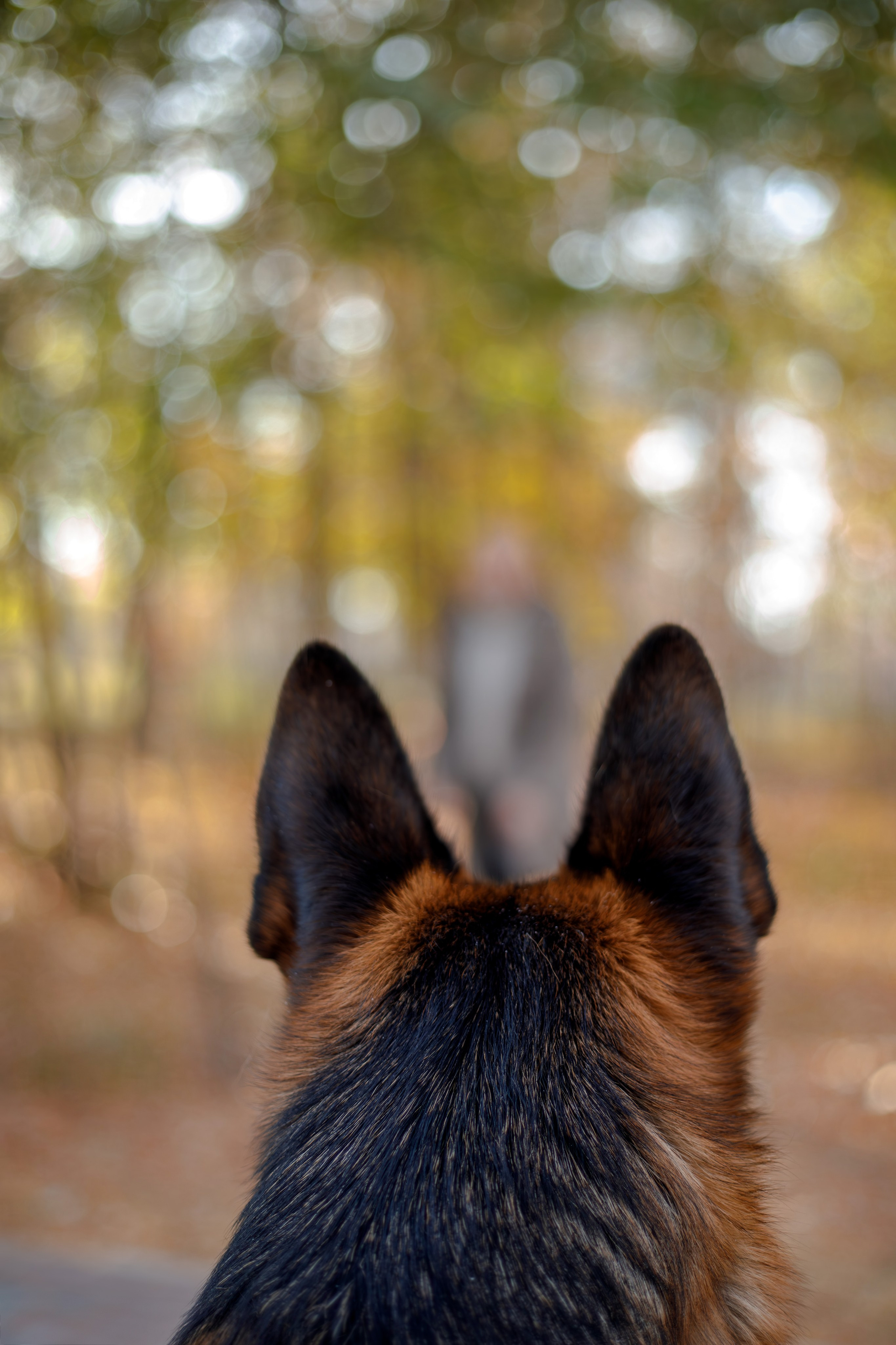 Ди и Джема. Фотограф Екатерина Козловская
