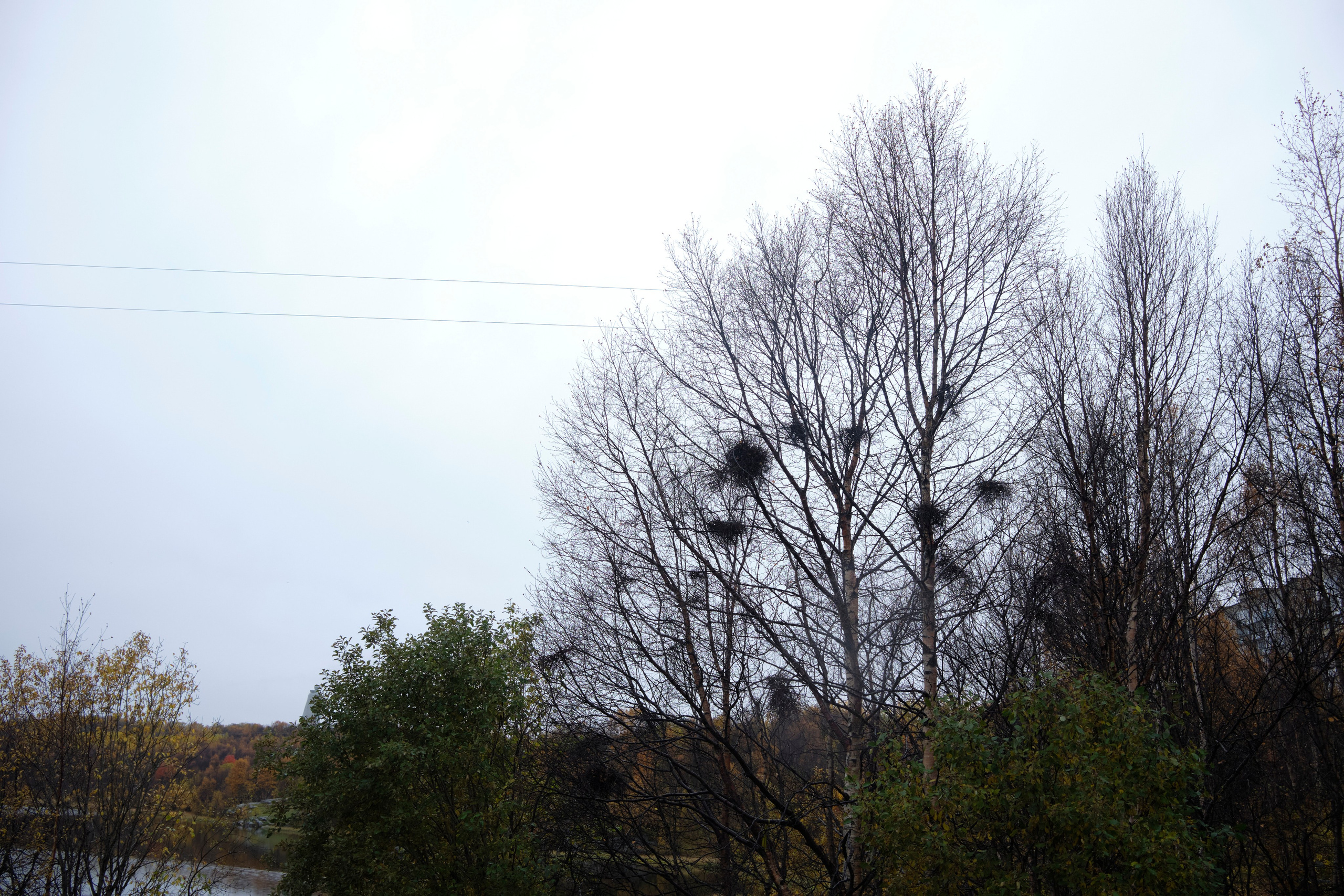 Поездка в Мурманск. Заметки и фото. Елена Павленко. Фотограф. Москва