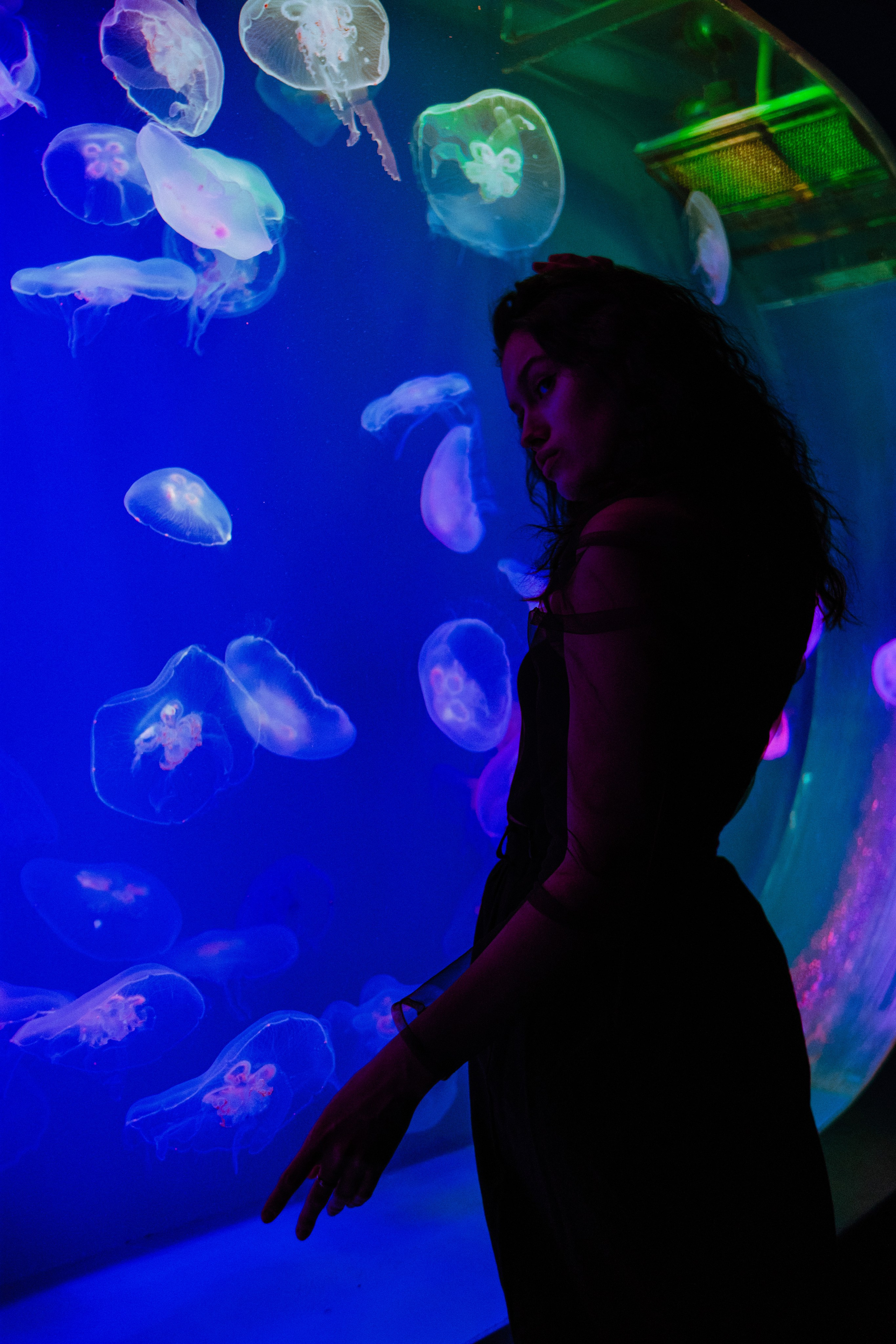 Julia. Фотограф в Санкт-Петербурге Бирюлев Илья