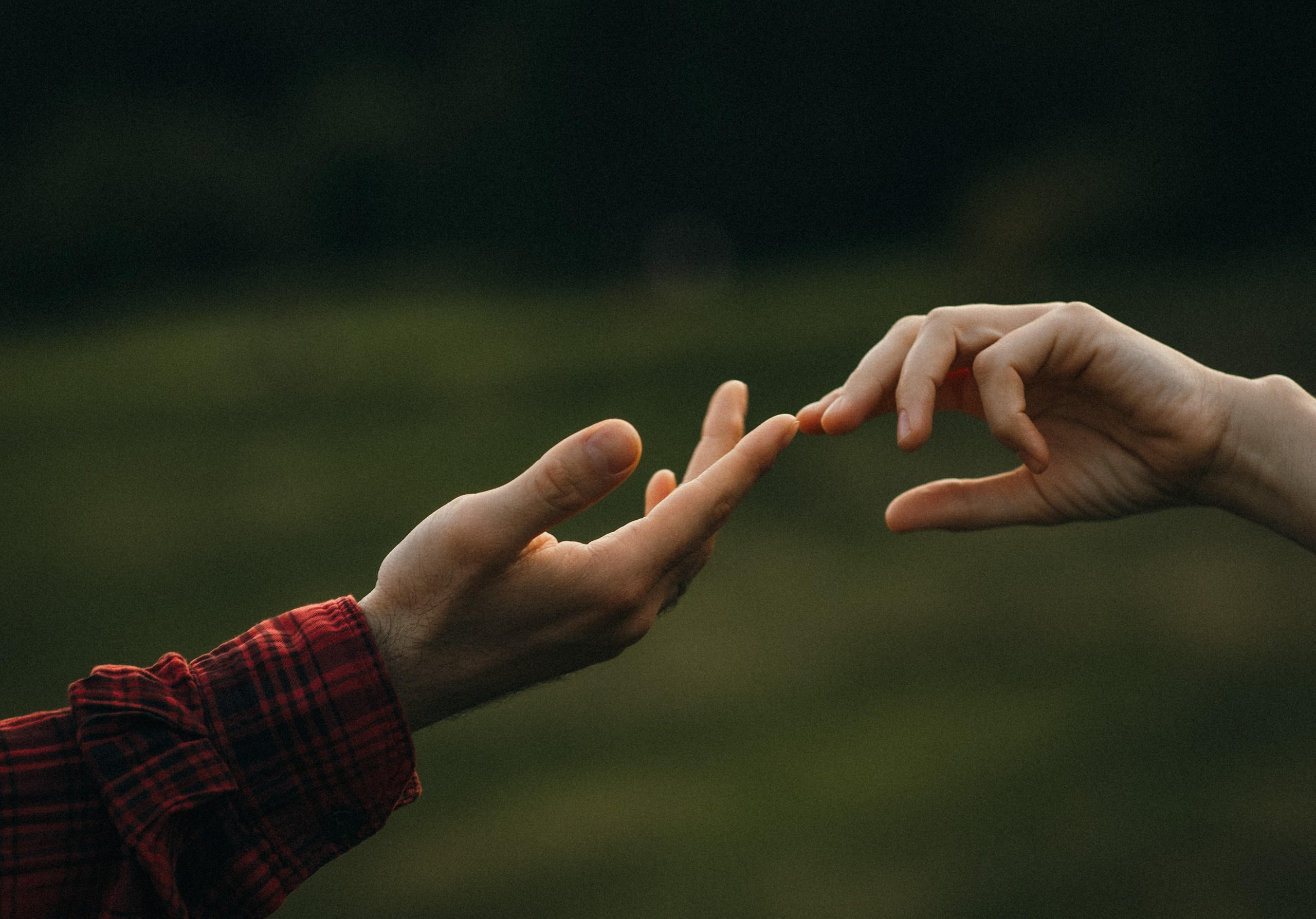 Татьяна Рыбалко. Фотограф в России, Семейный фотограф, репортажный фотограф, детский фотограф, портретный фотограф, контент фотограф, универсальный фотограф