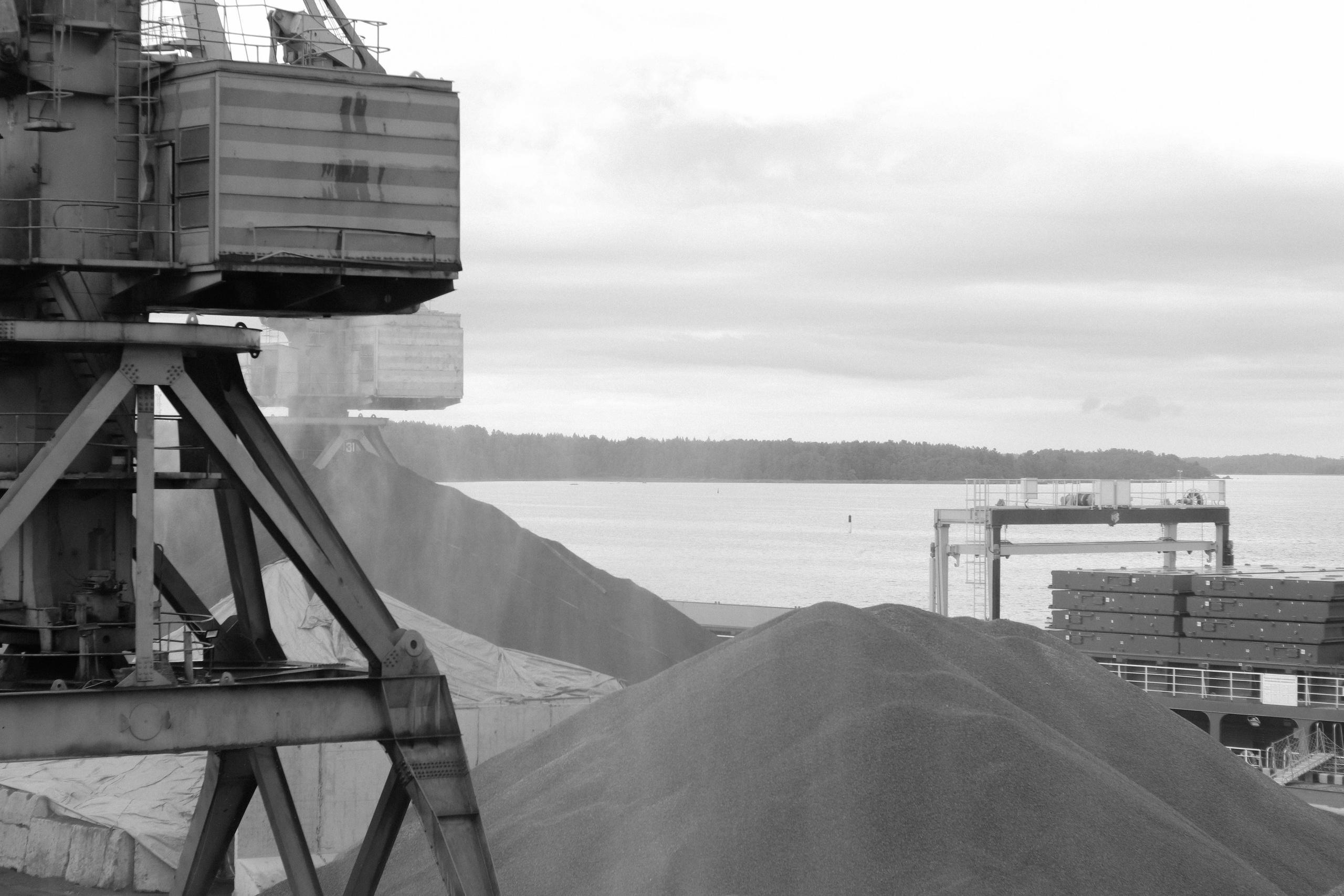 Contour. Фотограф и исследователь фотографии из Санкт-Петербурга Елизавета Веприцкая