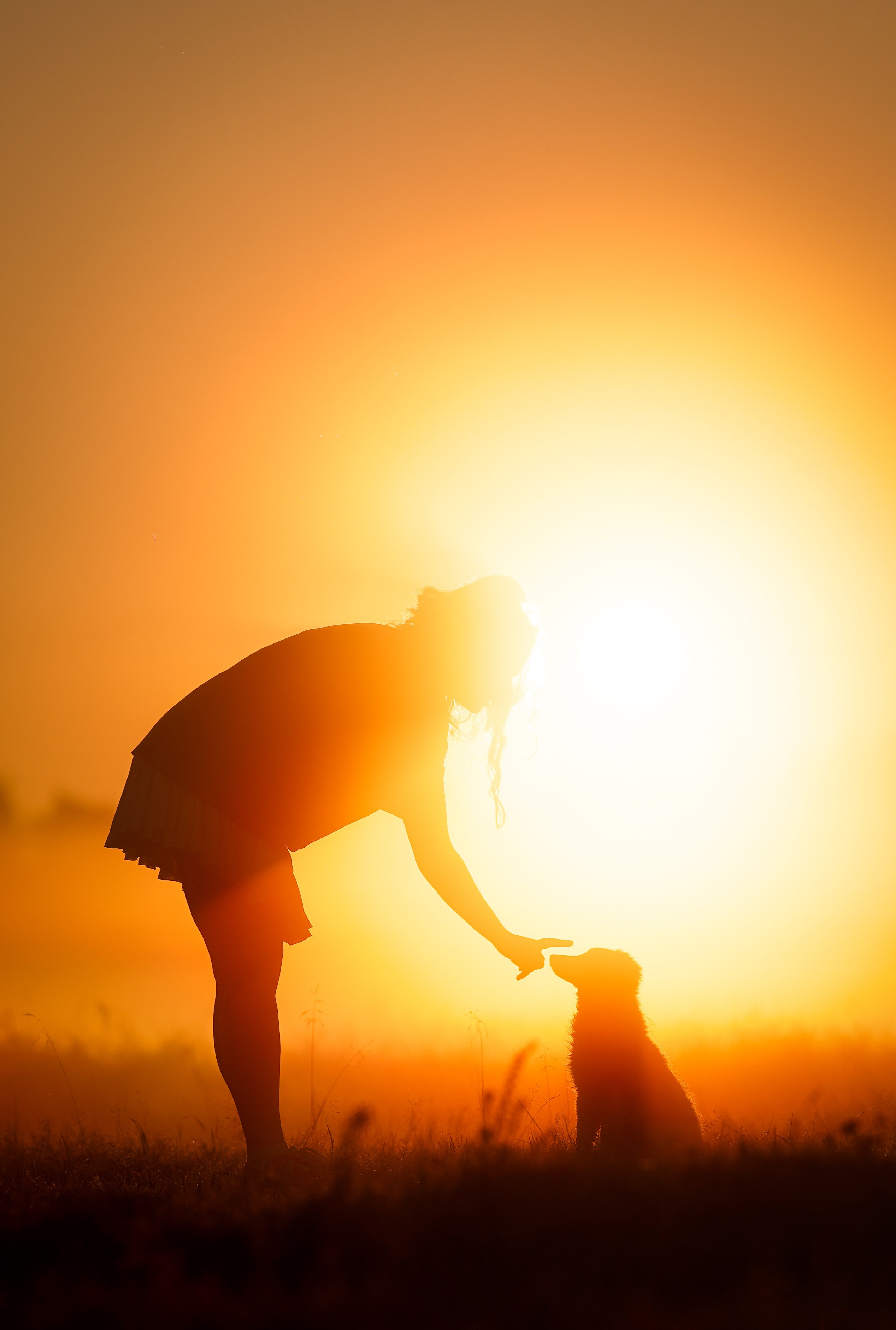 Алина и Лето. Фотограф-анималист в Санкт-Петербурге Яна Мартынова