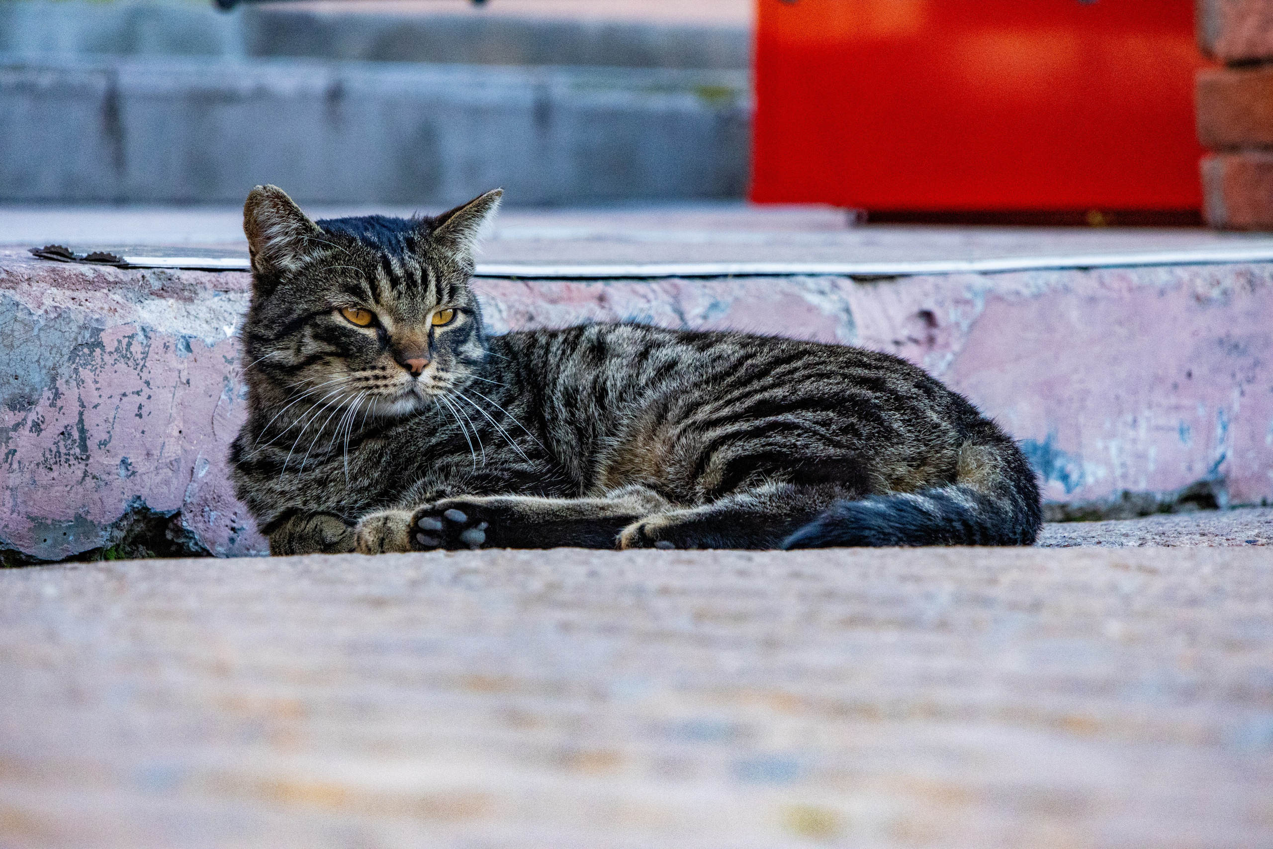 Улан-Удэ. Jean De Vivre Gallery