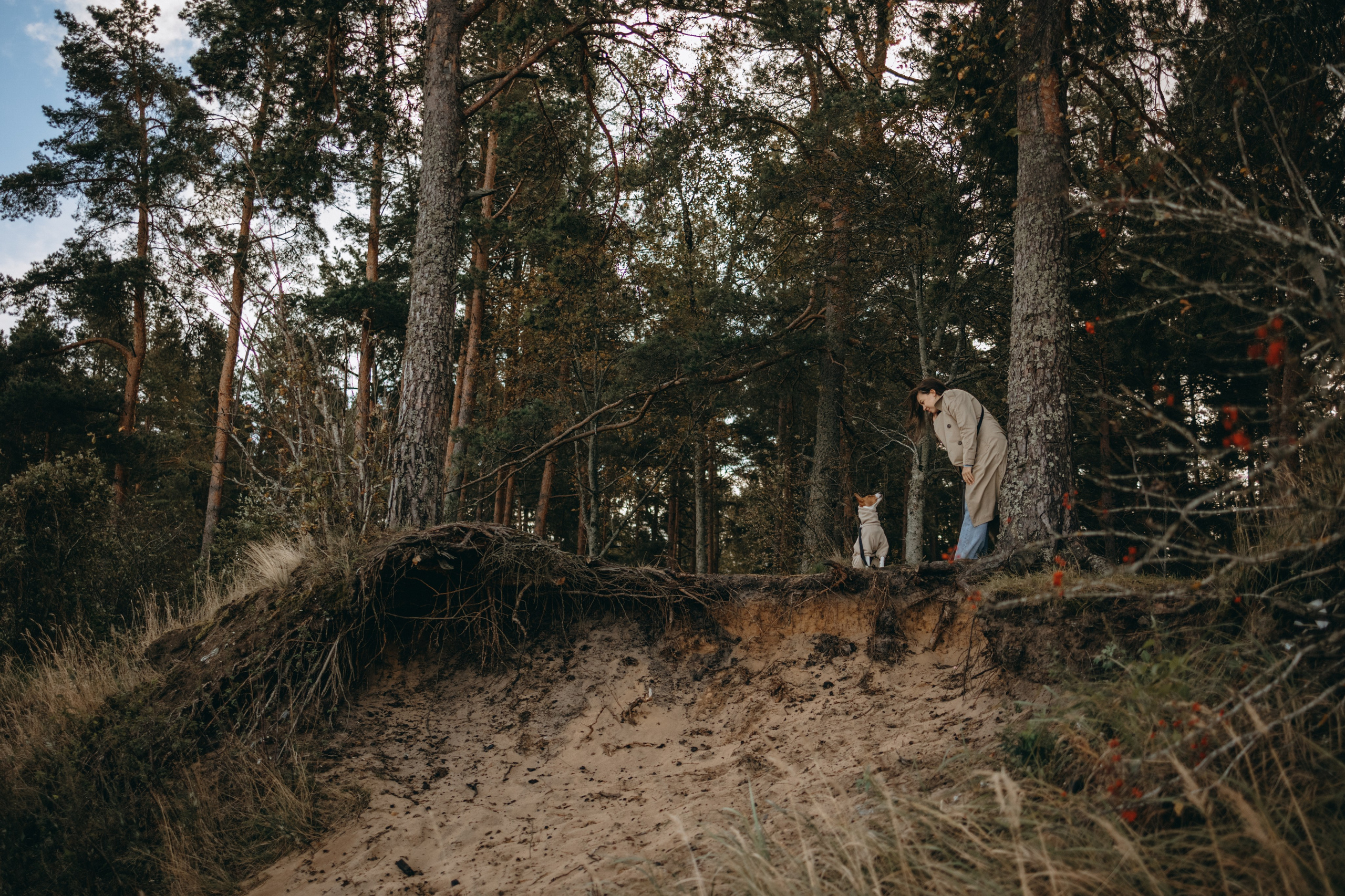 Алиса и Лео. Фотограф — Анималист | Санкт-Петербург