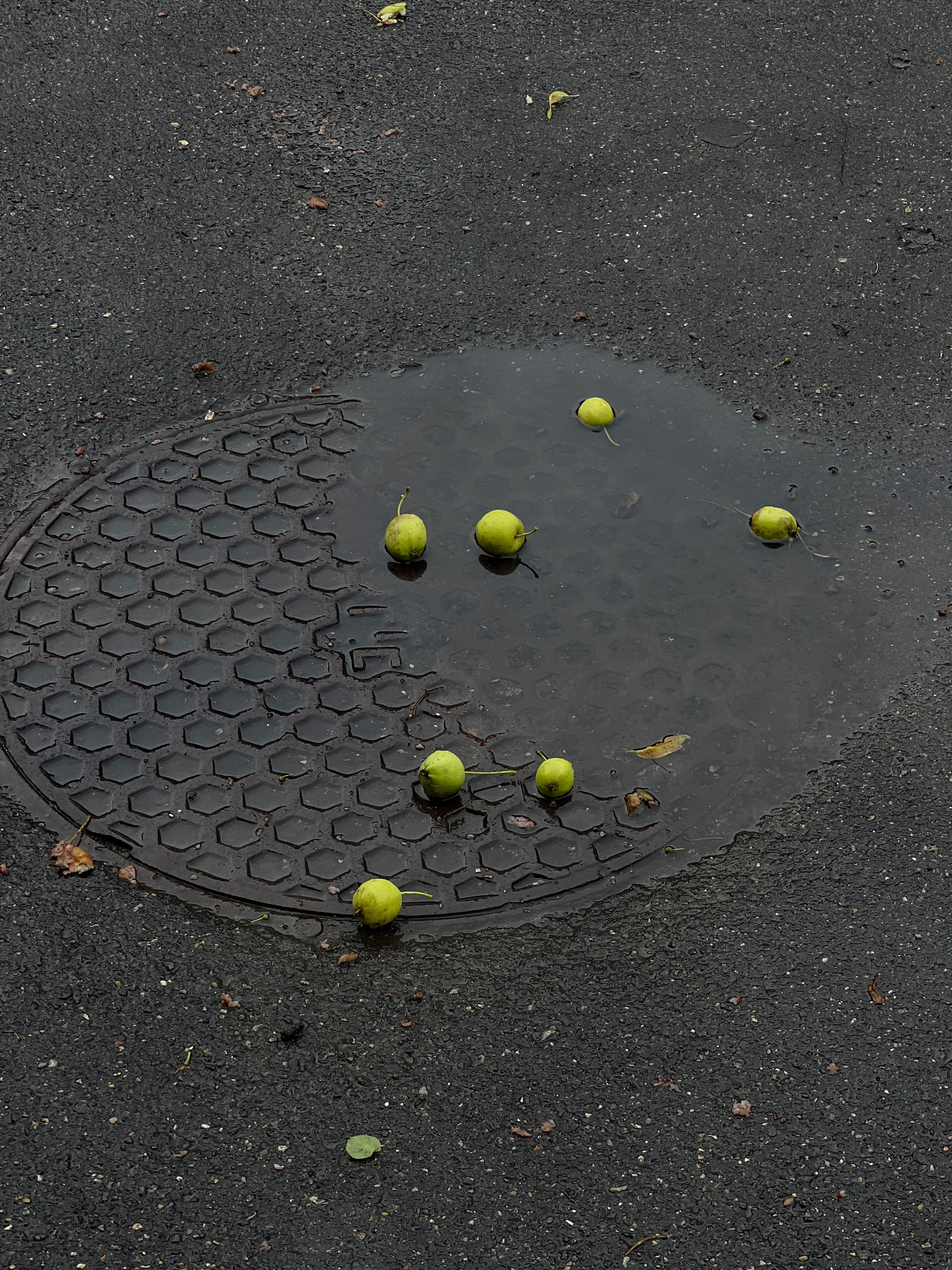 Fragments. Artem Khusainov