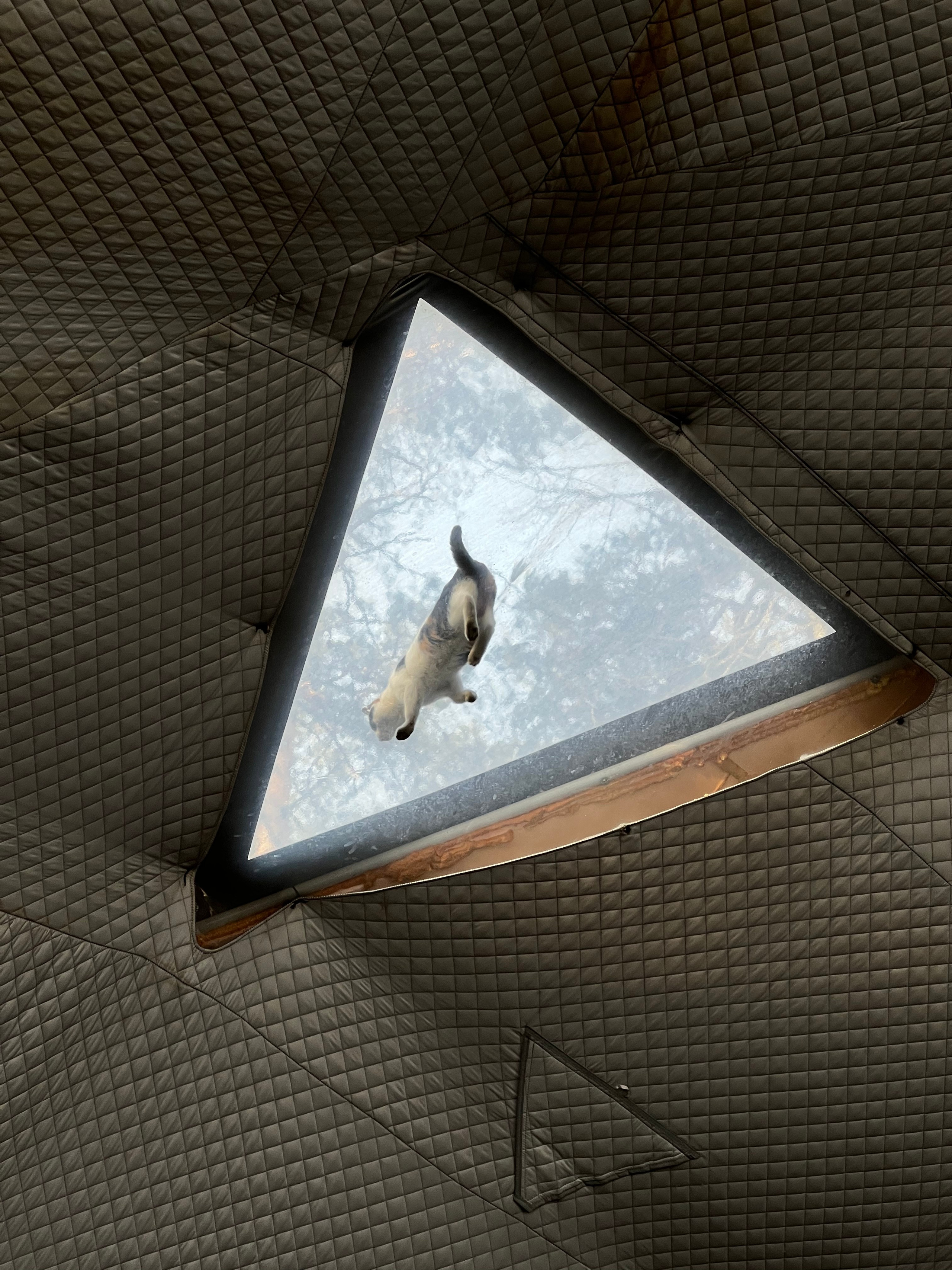 Fragments. Artem Khusainov