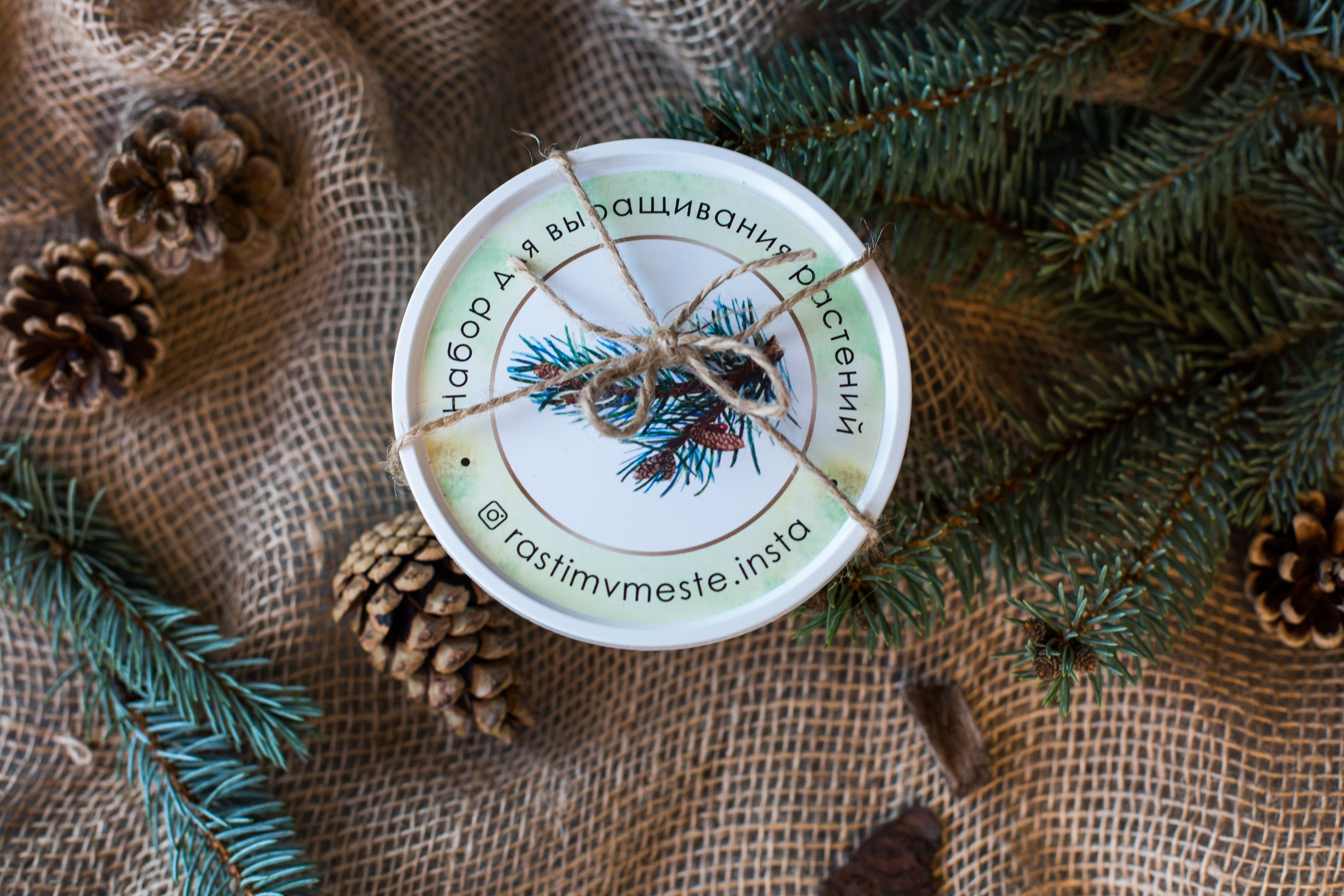 Растим вместе. Главная