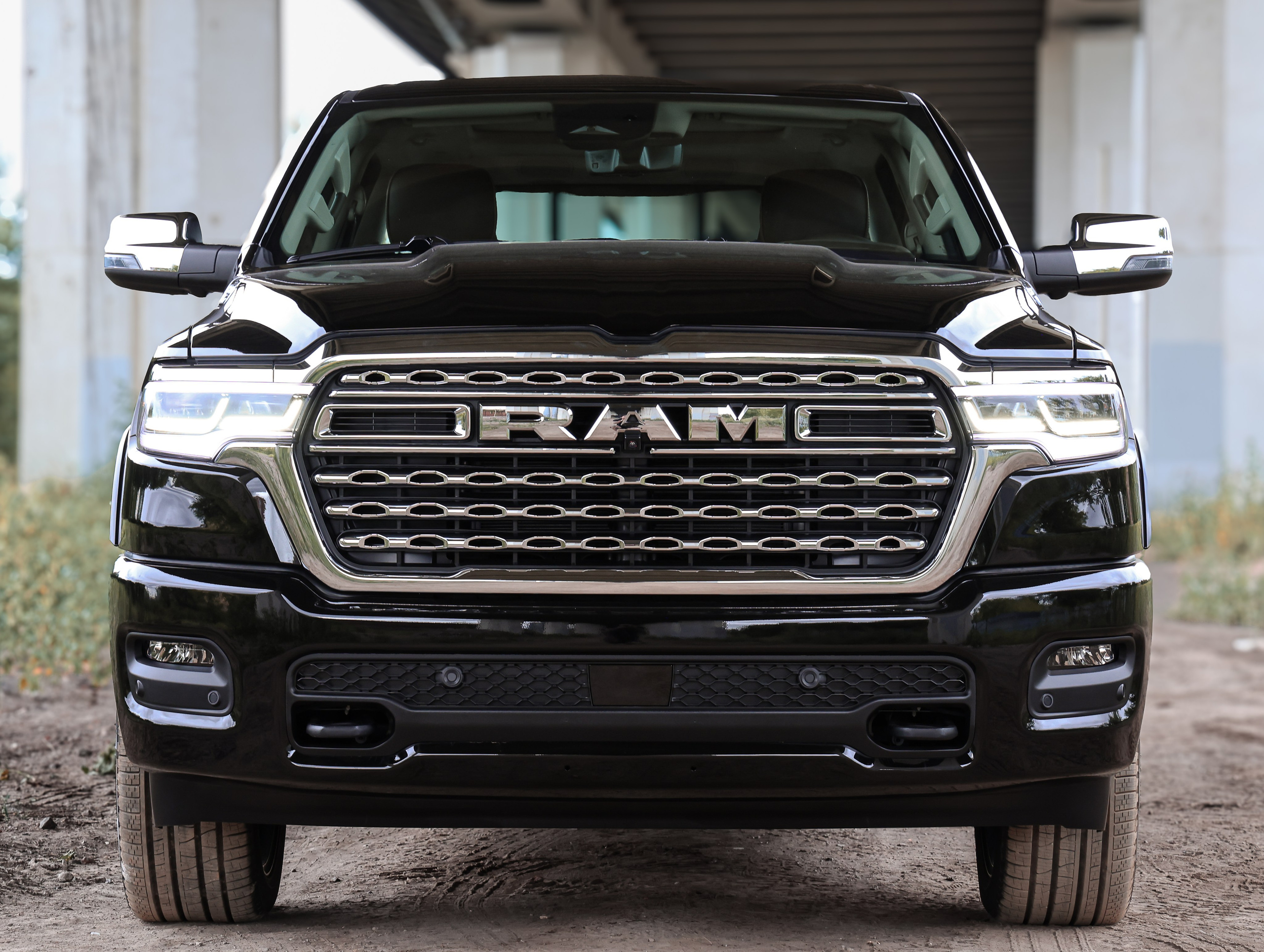 RAM LongHorn Limited. NK
