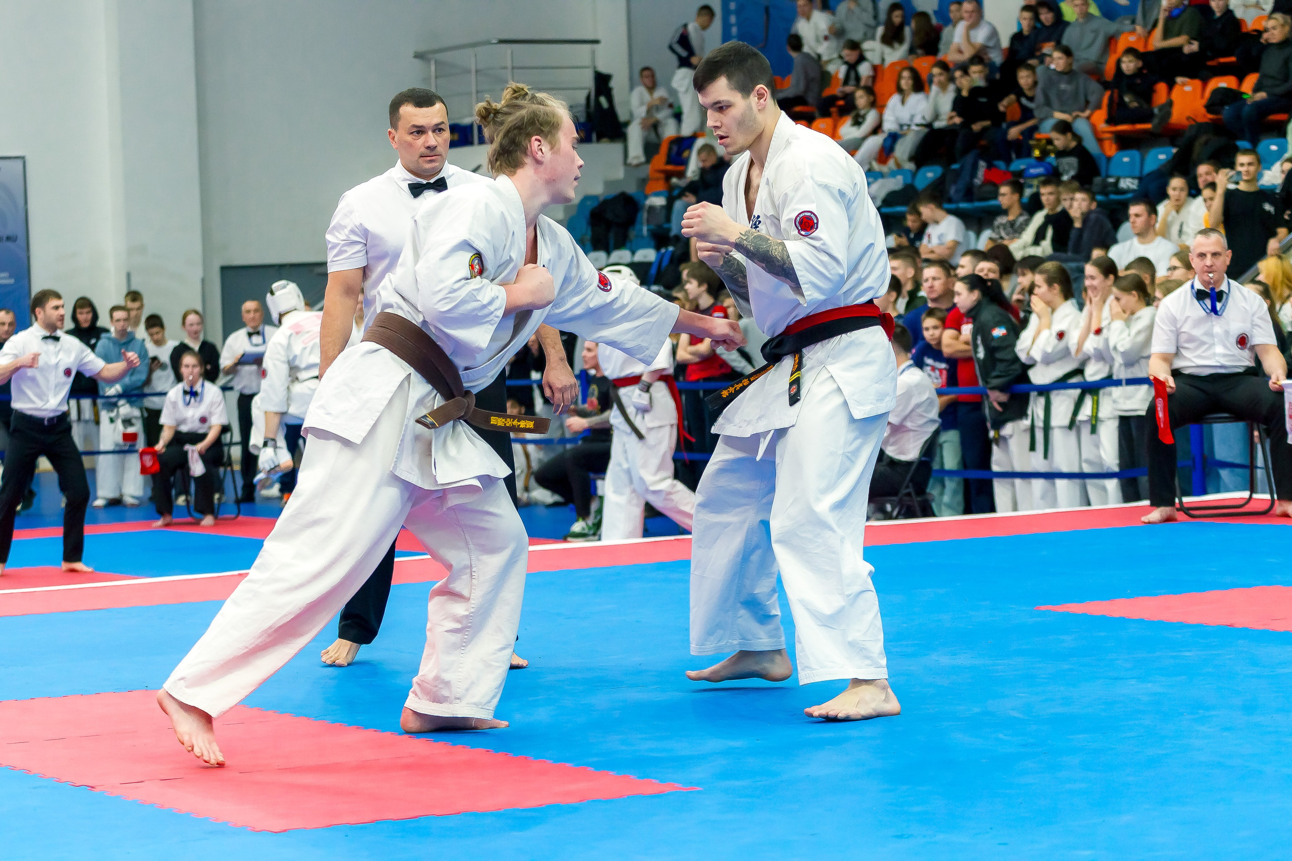 Соревнования по Киокушин памяти С. Увицкого. Репортажная съемка в Москве и области. Анималистика