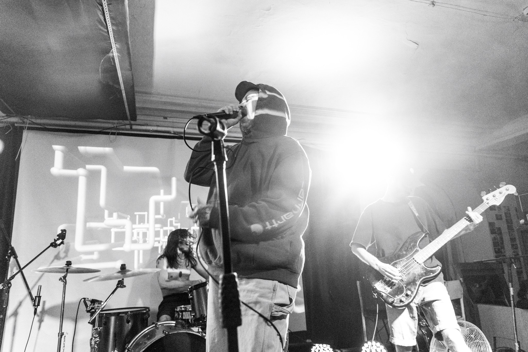 Змееед, Apodemus, 20.12.25, TAGO)))MAGO)))