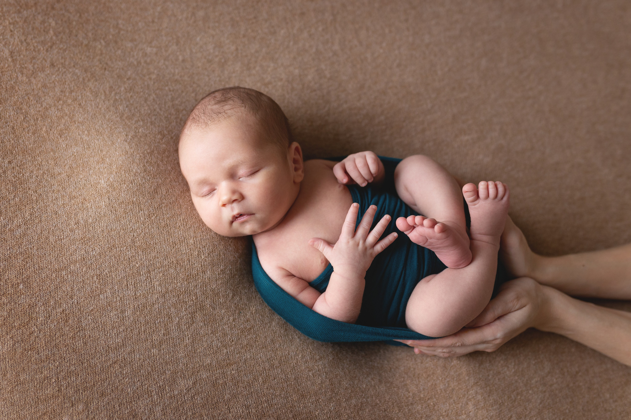 Newborn. Фотограф беременности в Новосибирске Елена Загороднева