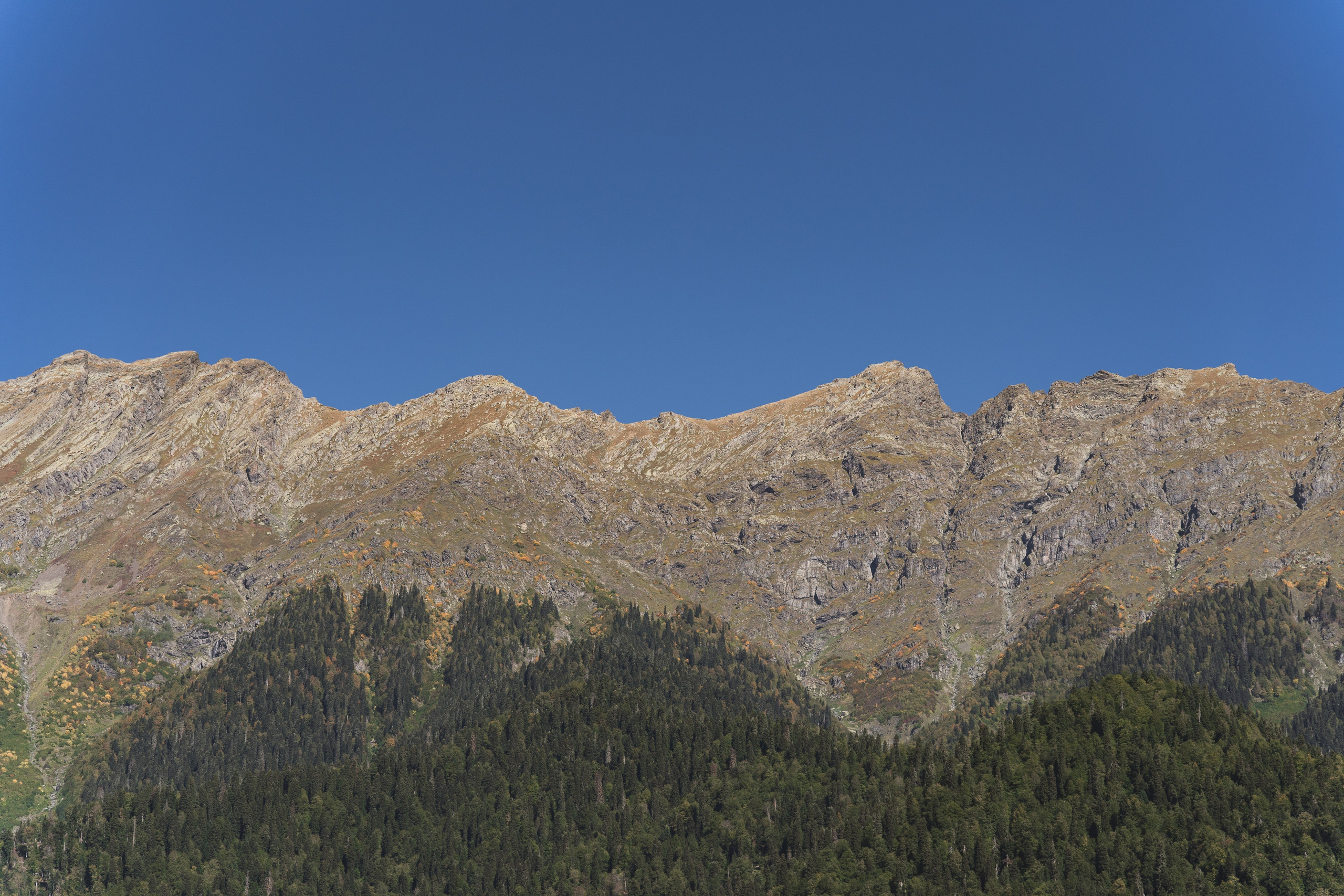 Фотографии из поездки в Абхазию. Предметный фотограф Санкт-Петербург