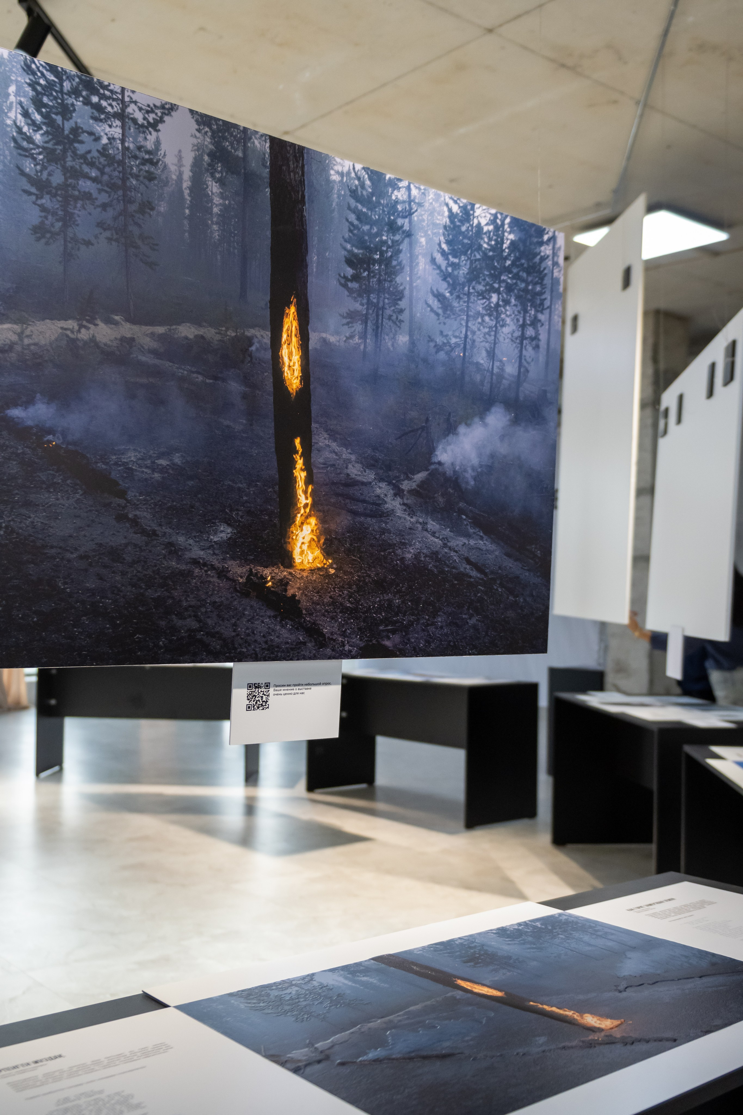 Женская встреча. Professional photo & Event agency (Kazakhstan, Astana)