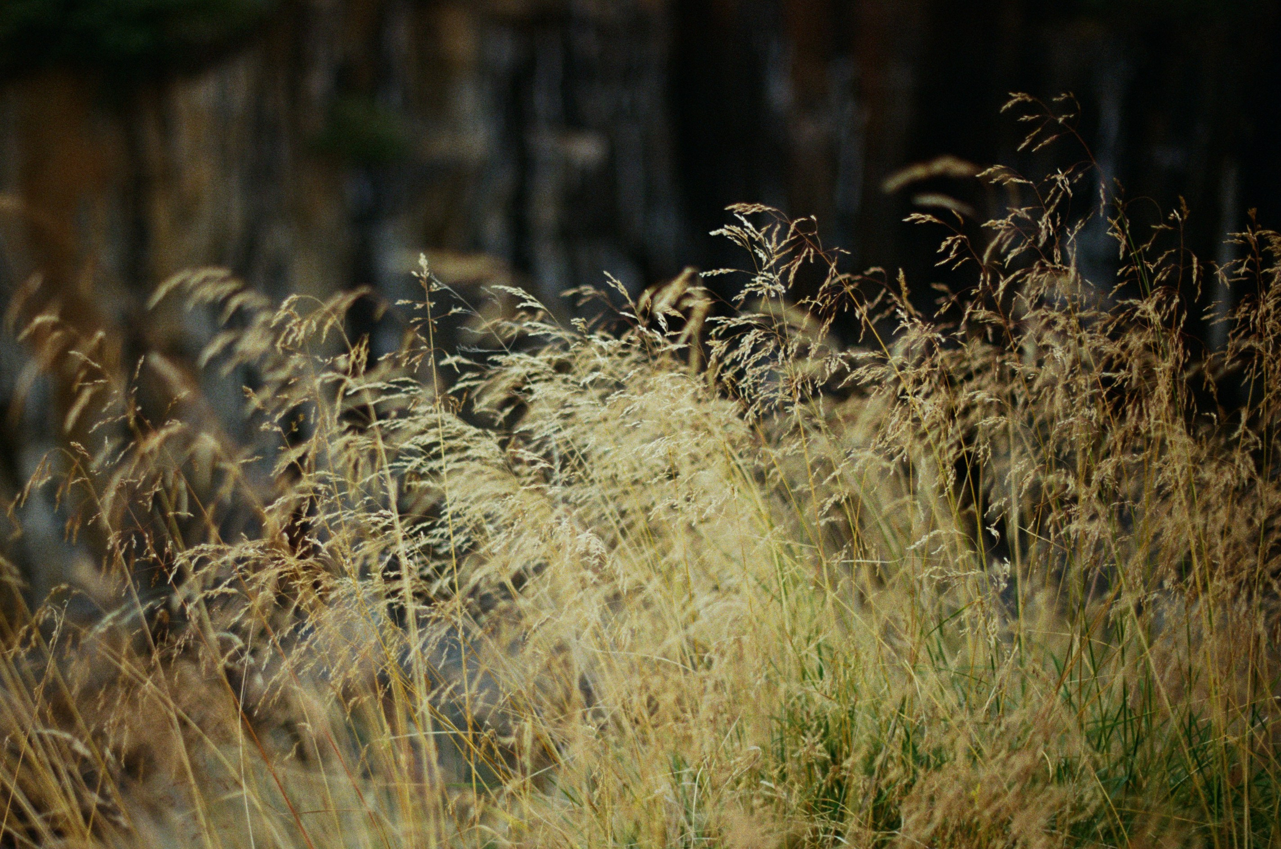 Human // iceland, 917 hlíðarvegur. EVER EXPOSED