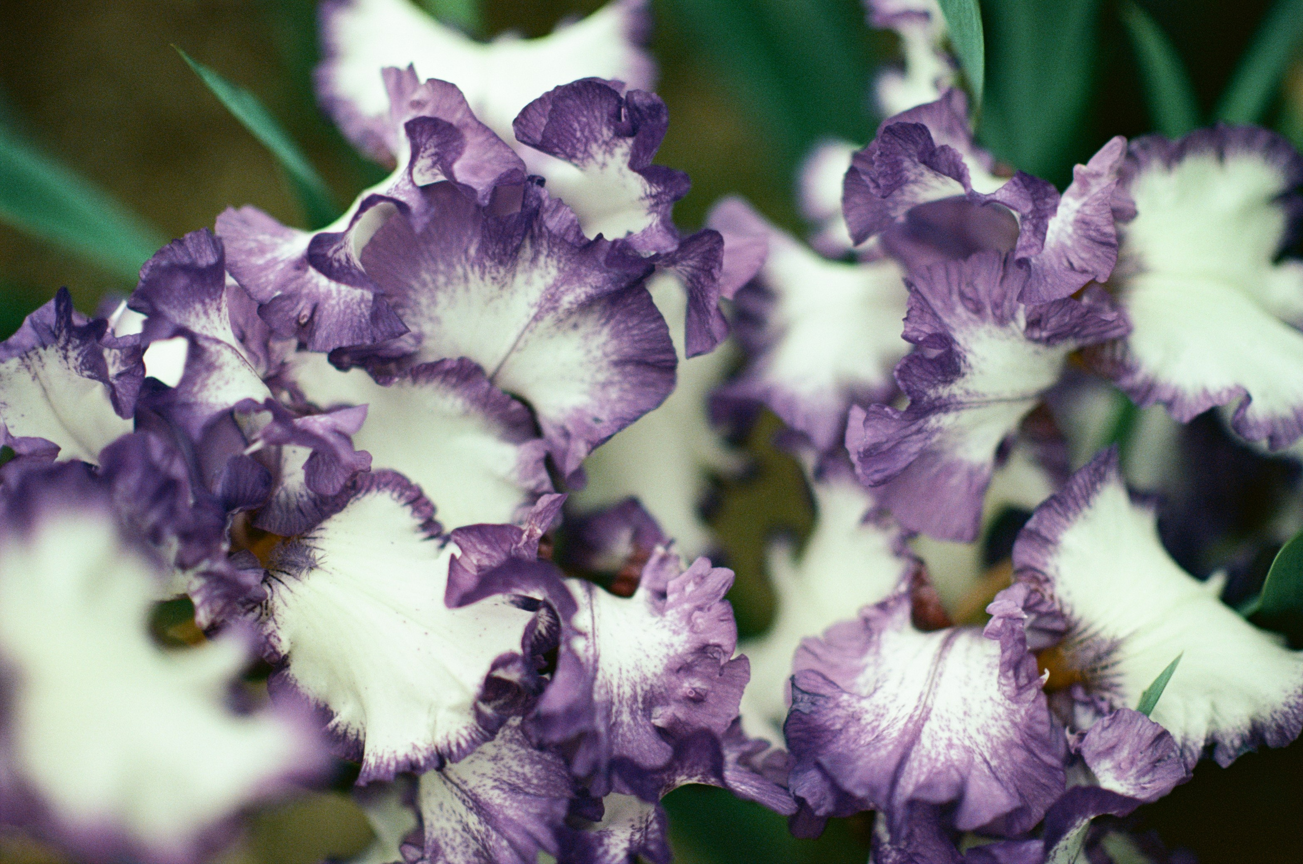 Pain shopping // ukraine, crimea VI. EVER EXPOSED