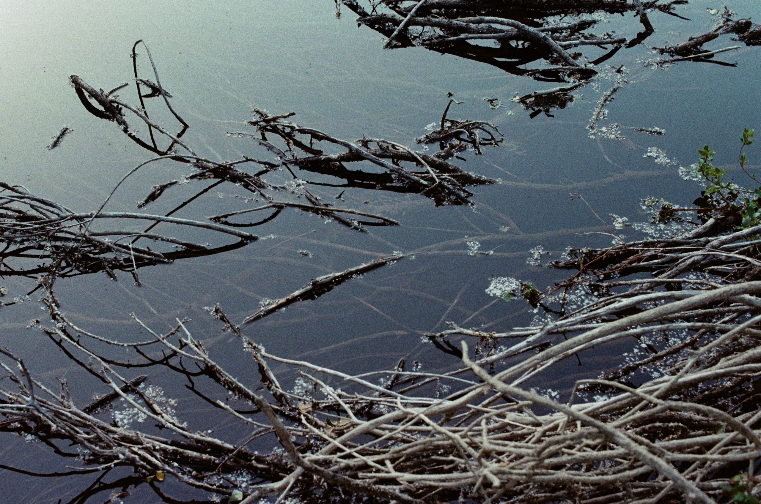 Silver strings // ukraine, crimea III. EVER EXPOSED