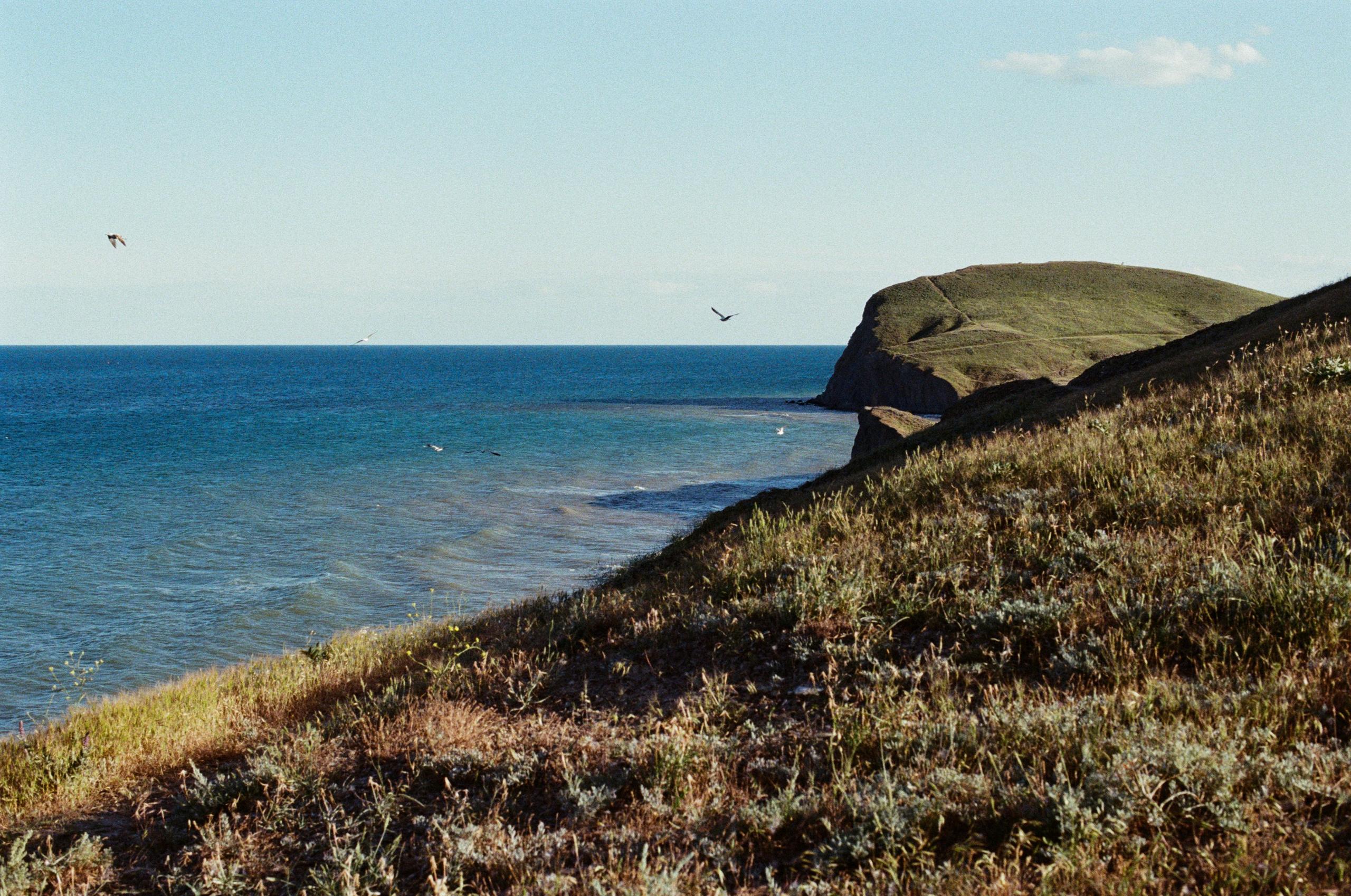 Kool-aid // ukraine, crimea VII. EVER EXPOSED