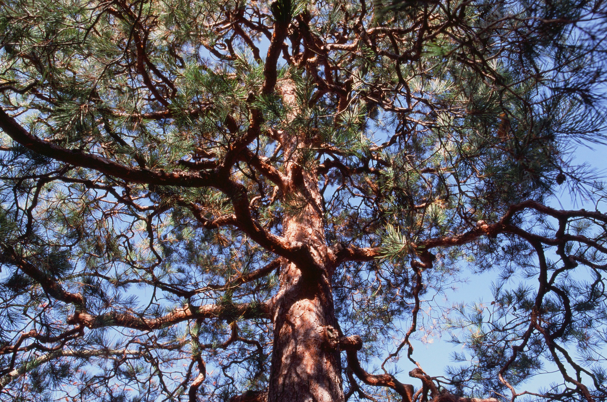 Out of noise // japan, takayama V. EVER EXPOSED