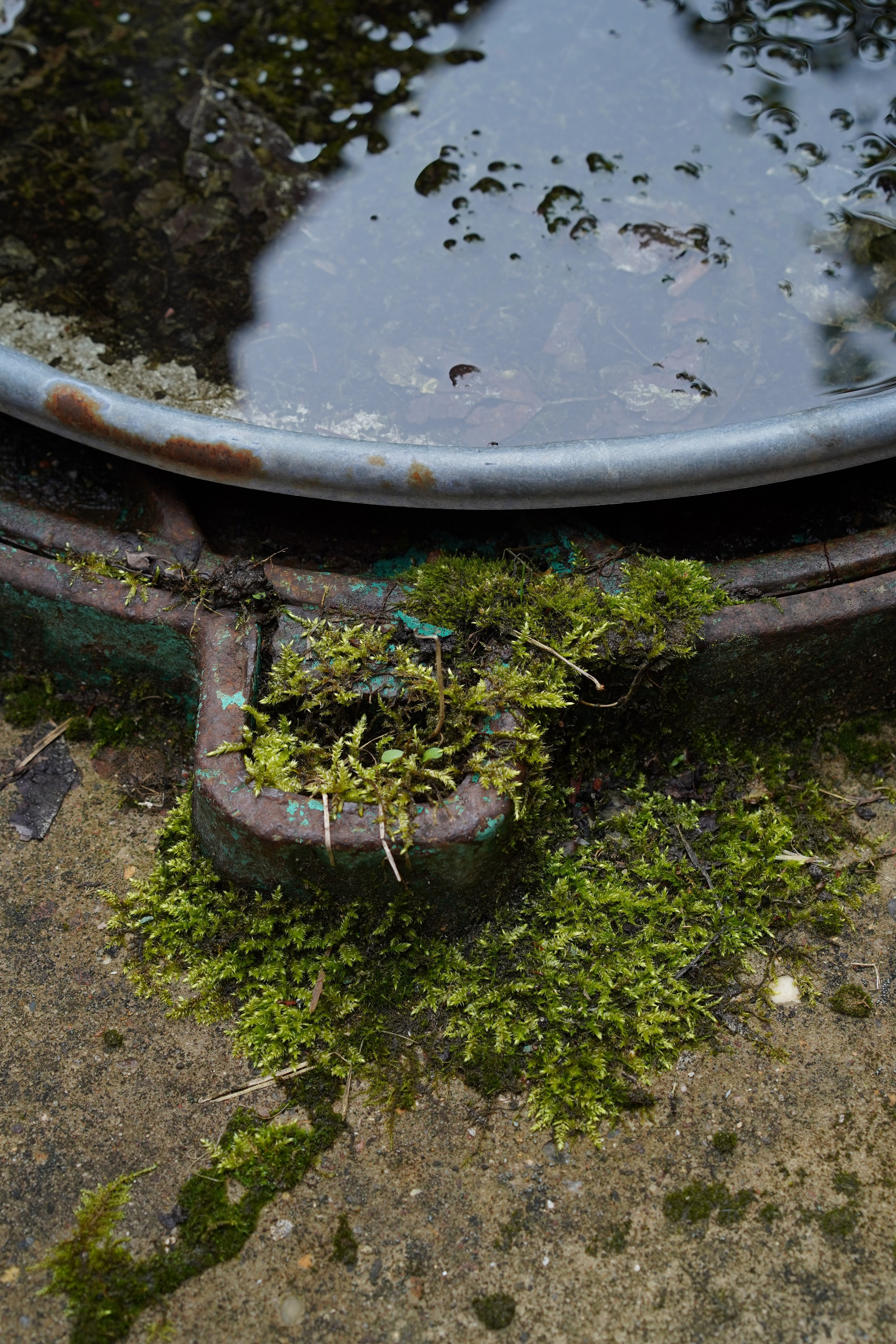 Для души. Фотосессия портрет, ню, будуар, стрит фотограф Москва Юлия Кафизова