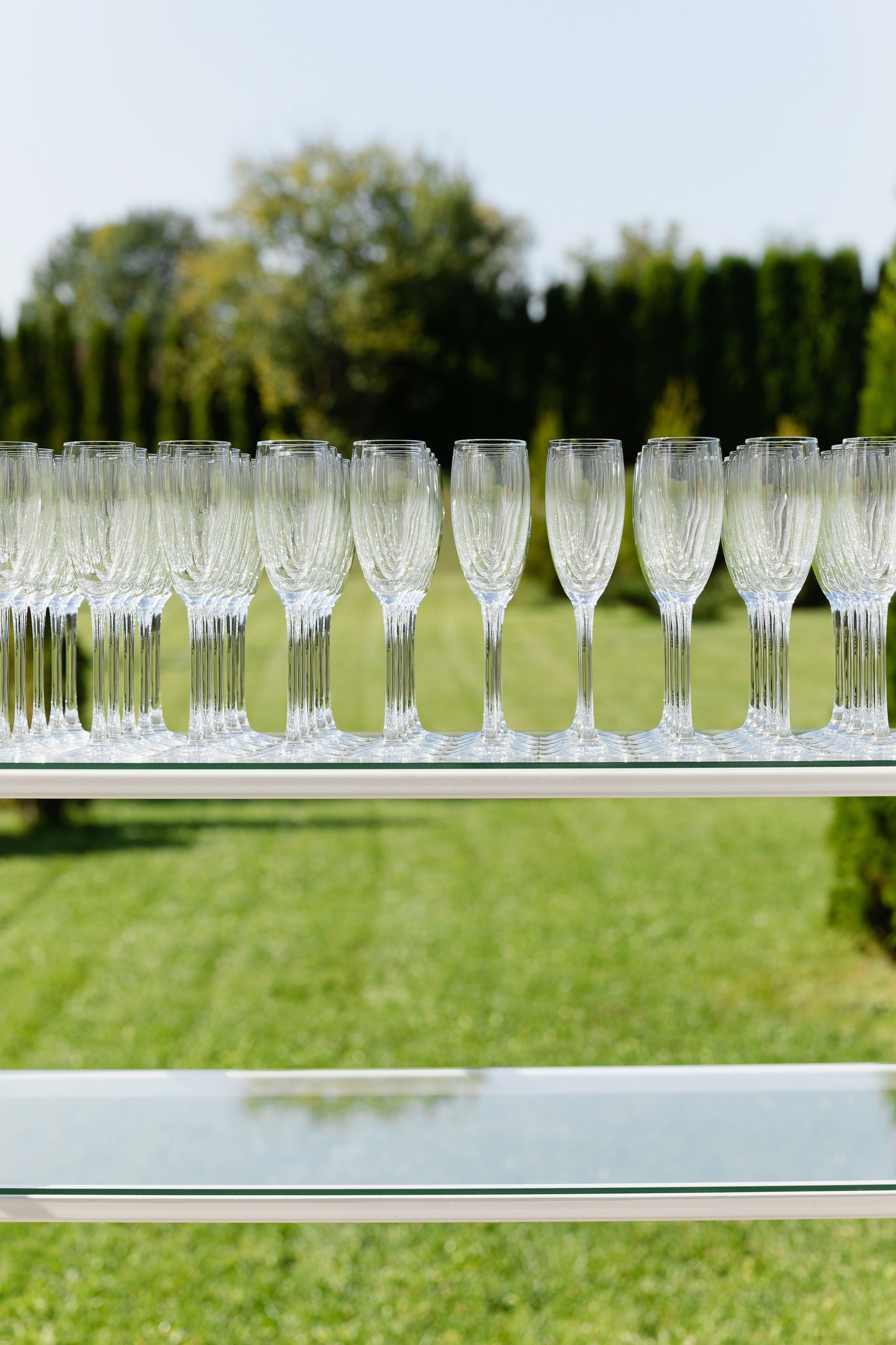 Family of wrestlers. Репортажный и свадебный фотограф в Минске Шамко Анатолий