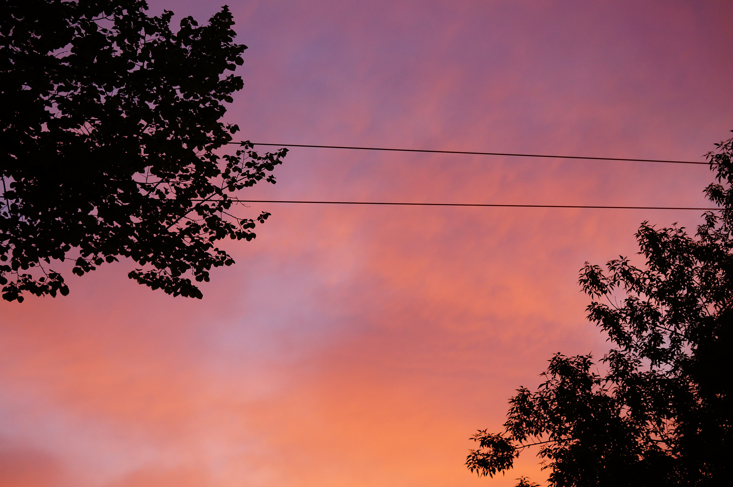 Стрит. Лера Волкова | Портретный фотограф в Санкт-Петербурге