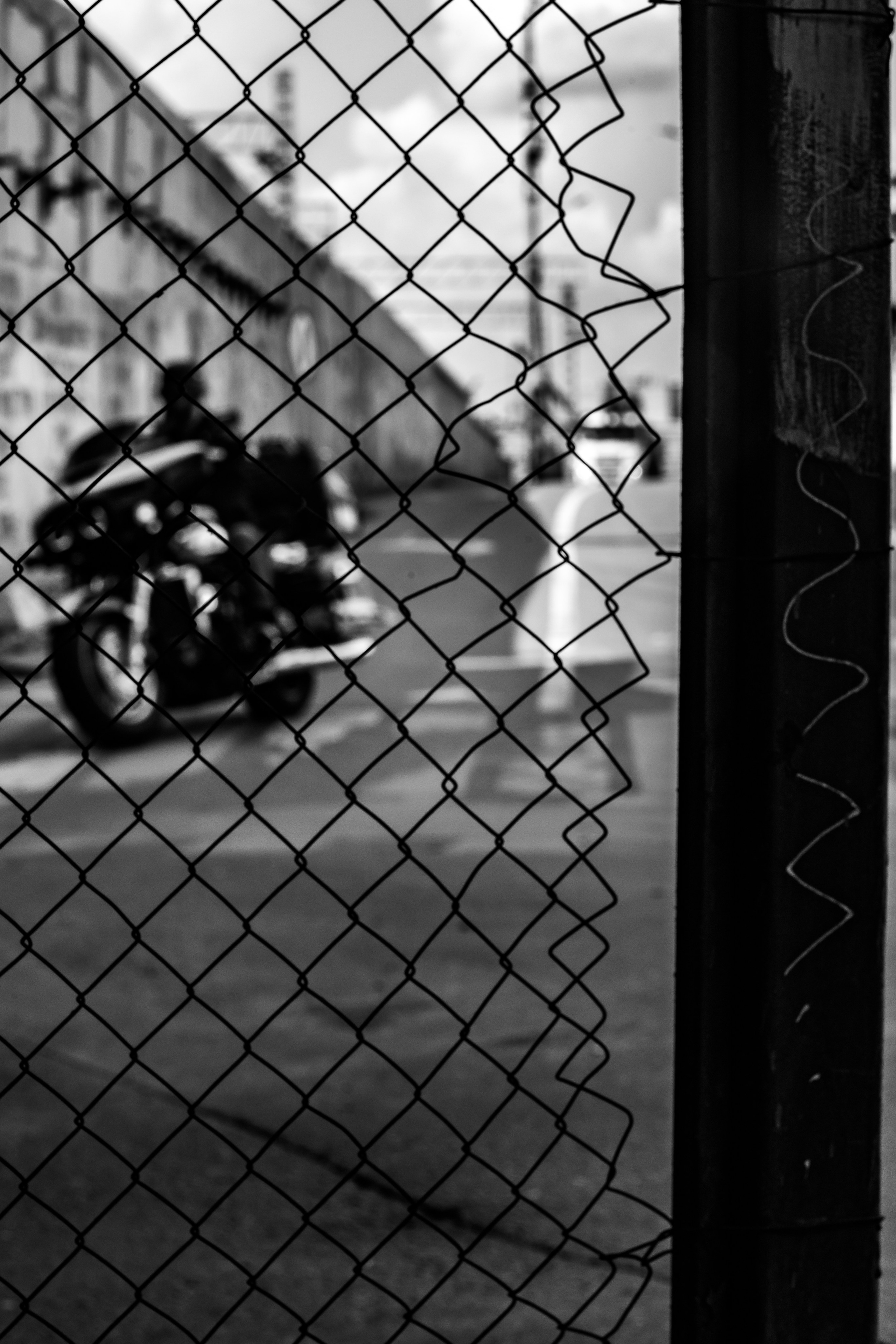 II. Стас Привалов