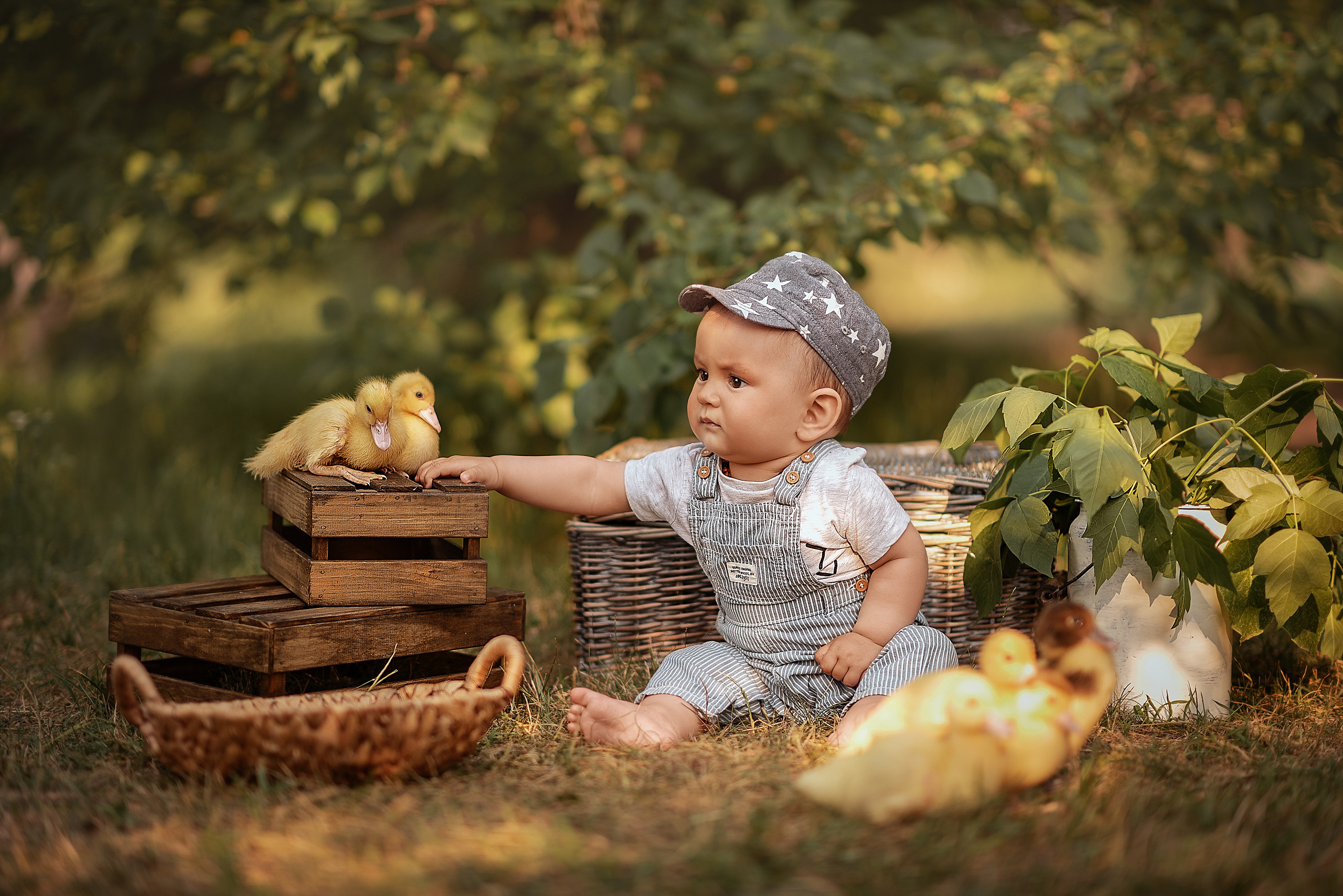 Фотопроект_Утята. Семейный фотограф Екатеринбург Лора Мур