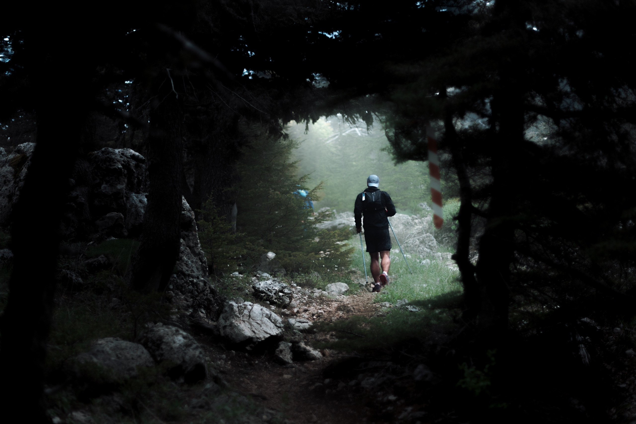 Трейлраннинг. Спортивный фотограф Тремпольцева Анна