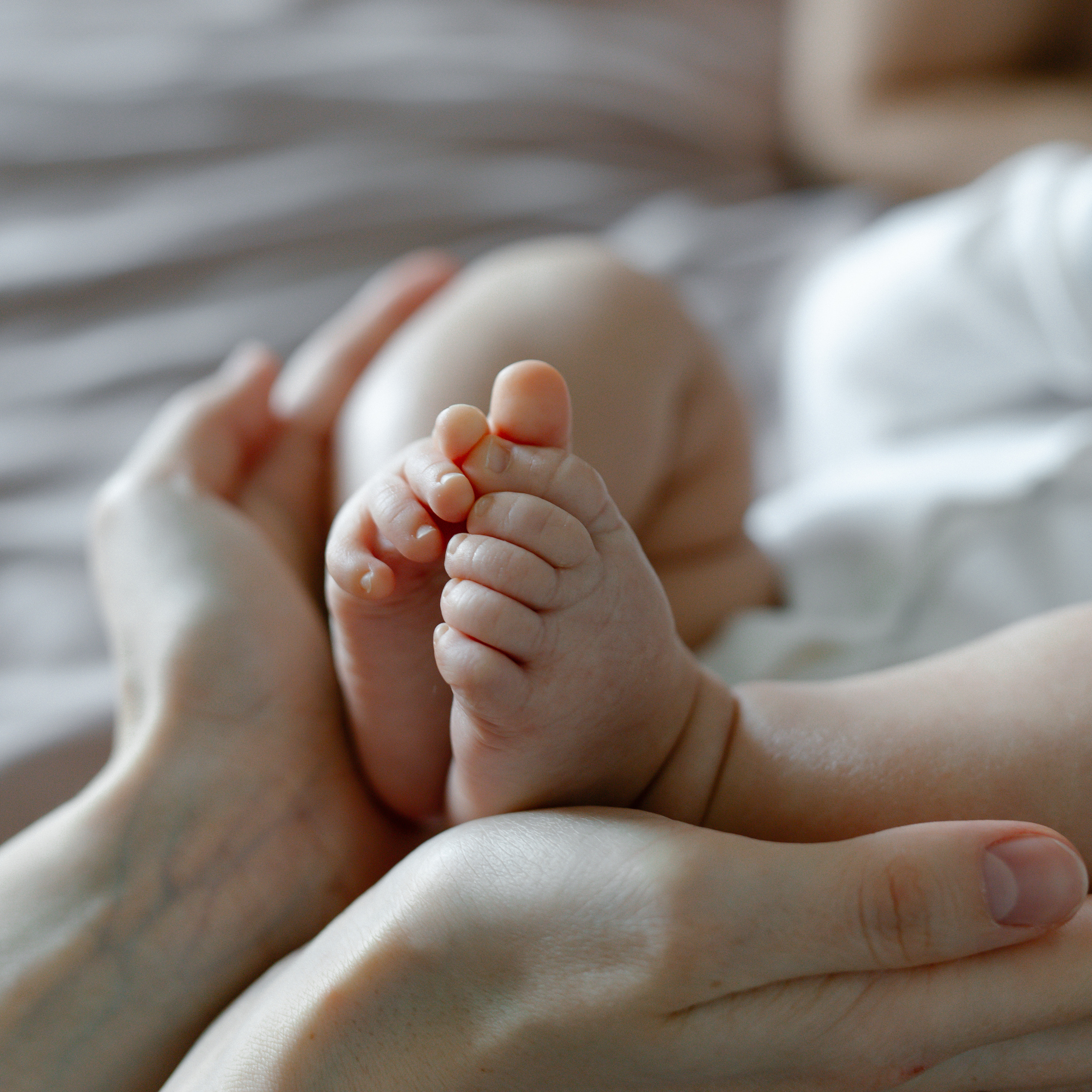 Катюша. Главная