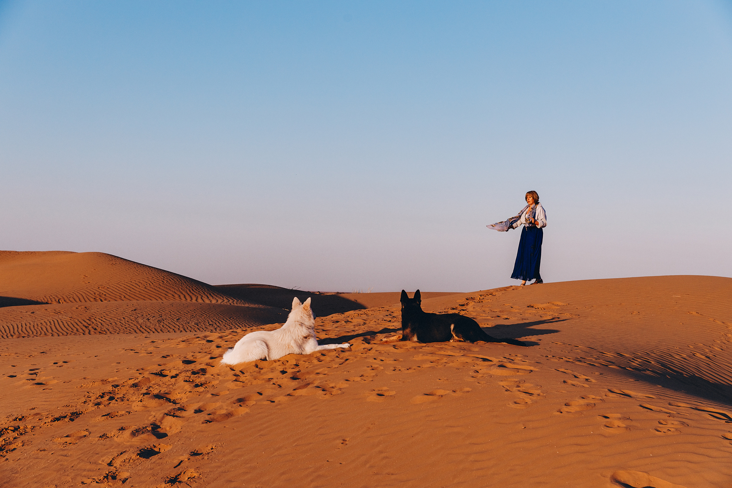 БШО. Фотограф