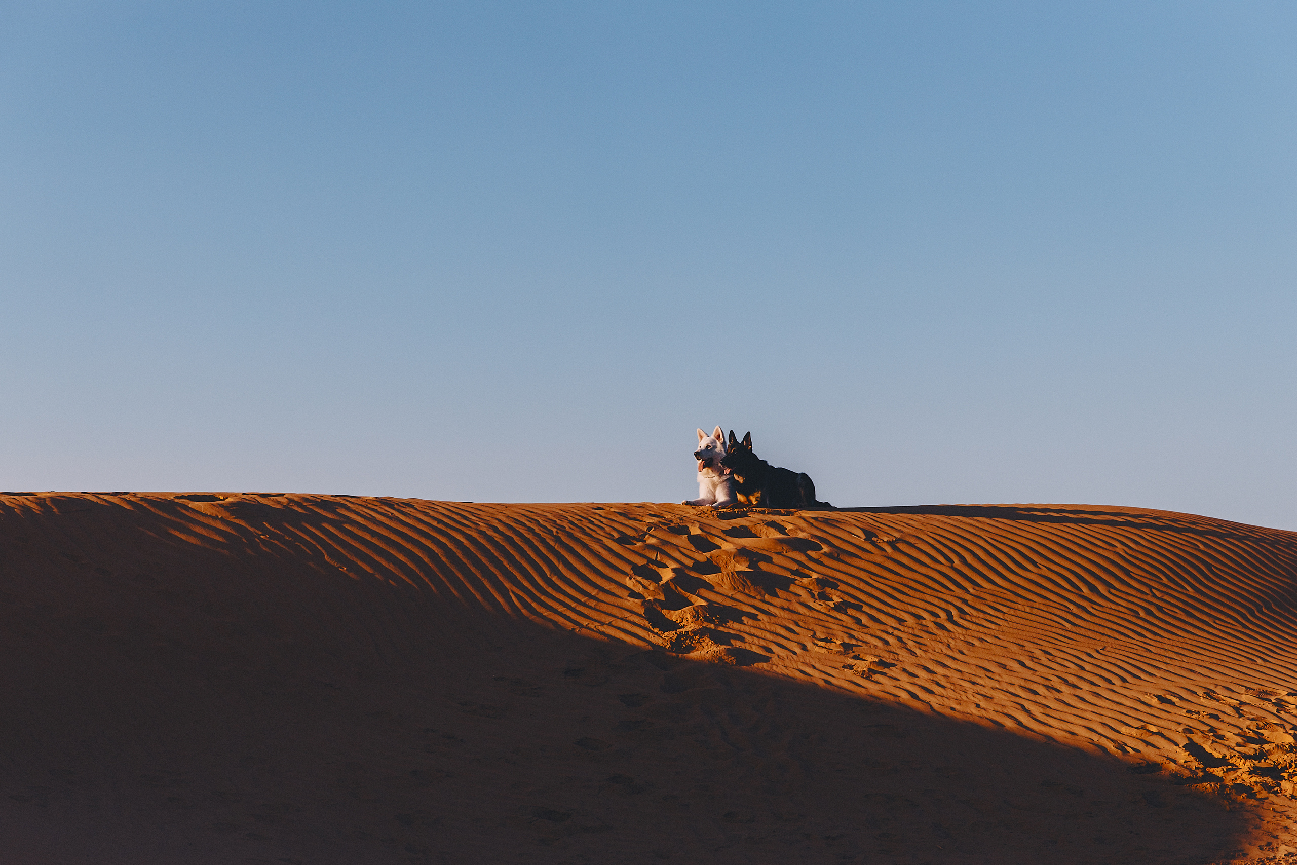 БШО. Фотограф