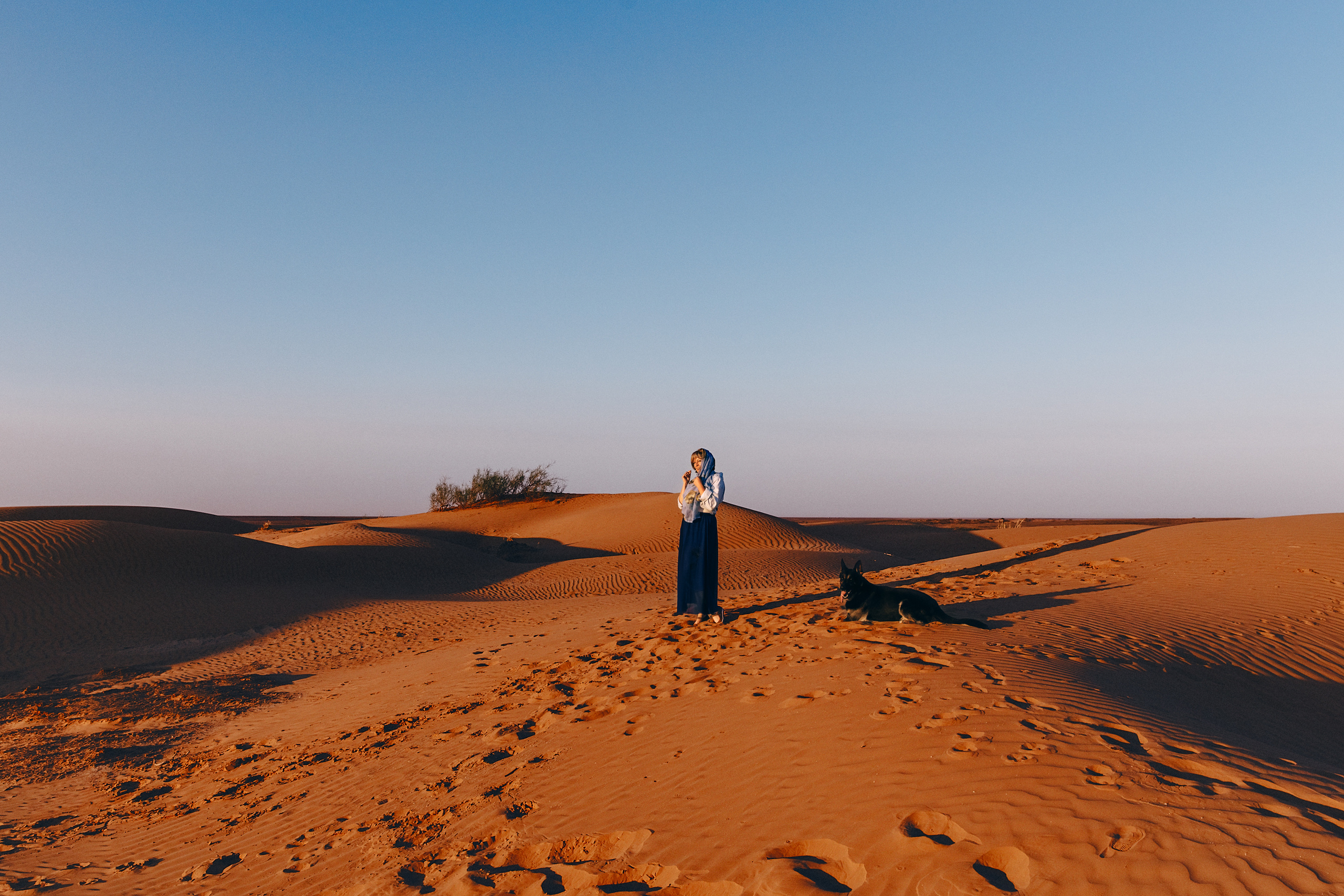 БШО. Фотограф