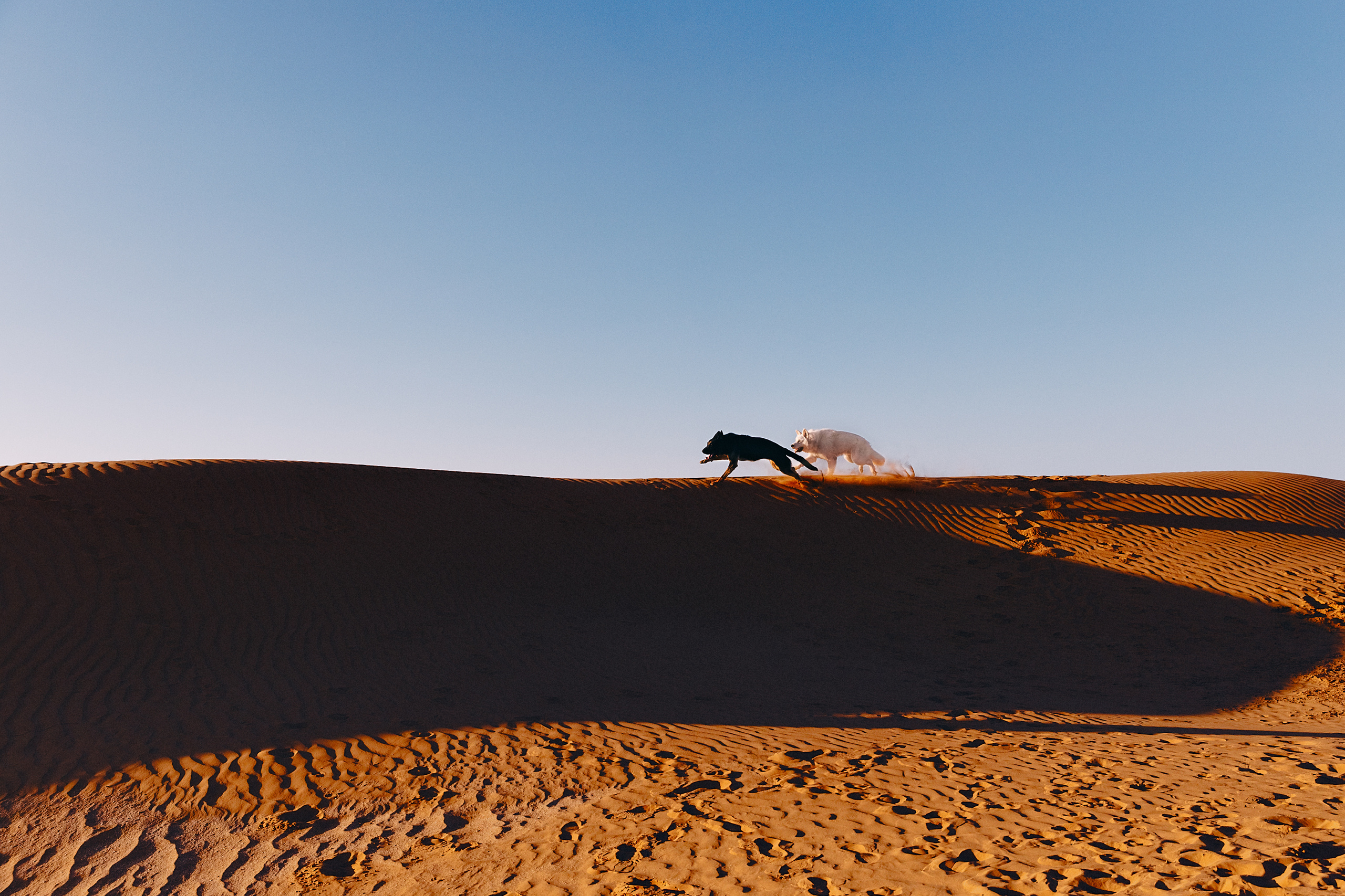 БШО. Фотограф