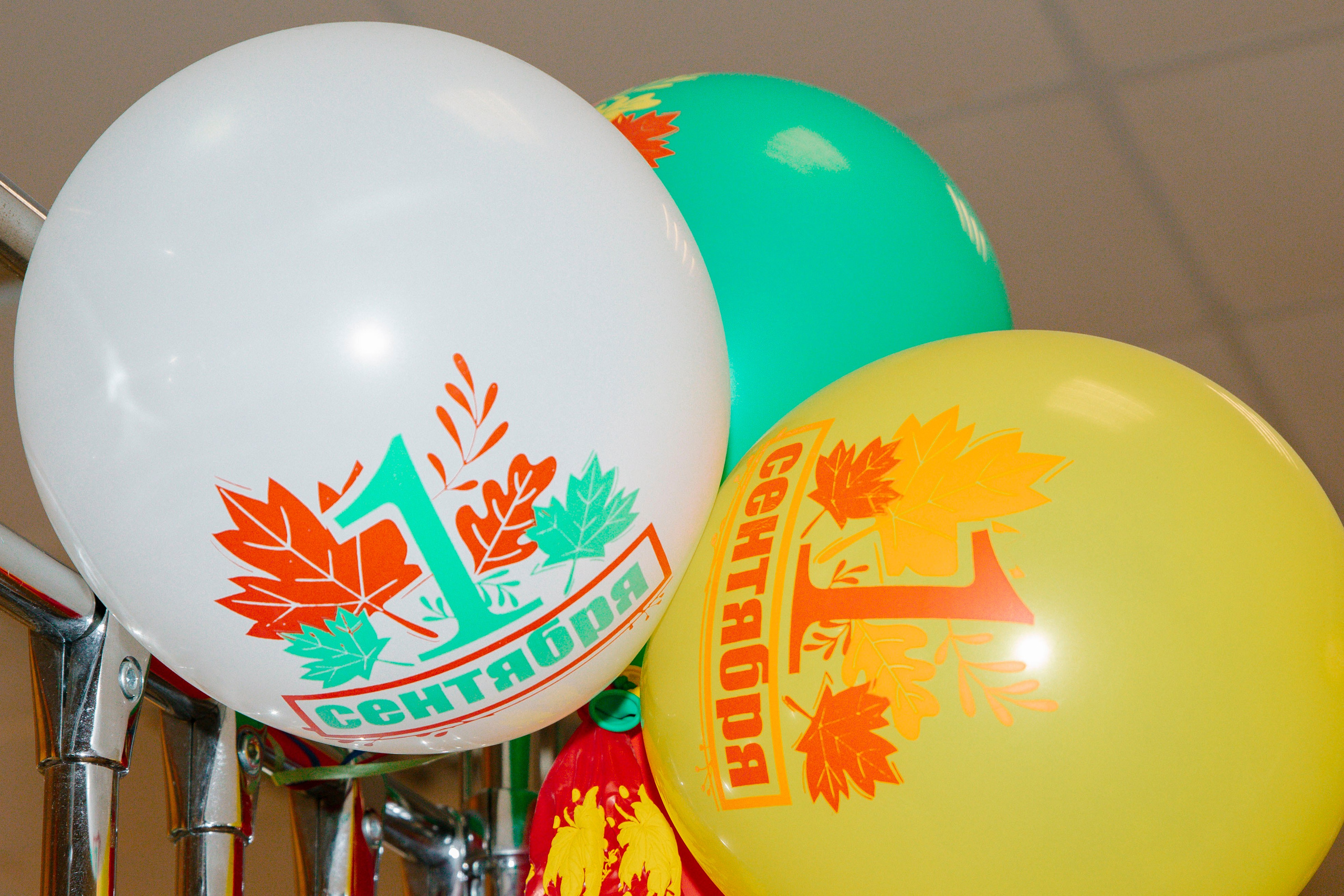 Во 2 класс 🍁 школа № 138. Фотограф в Москве Яна Полосина