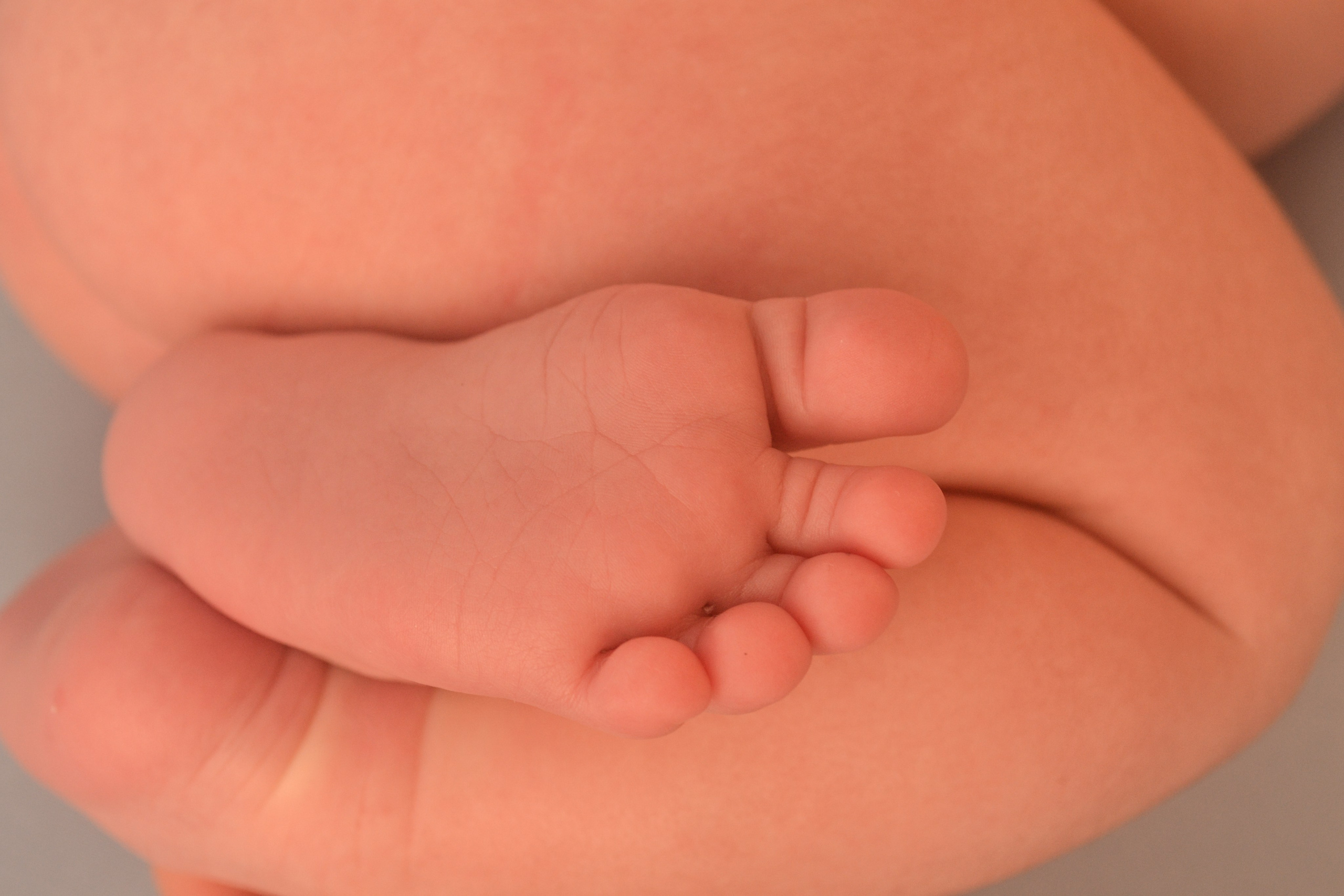 Newborn. Photograper Israel/фотограф Израиль. ALINA TARAN